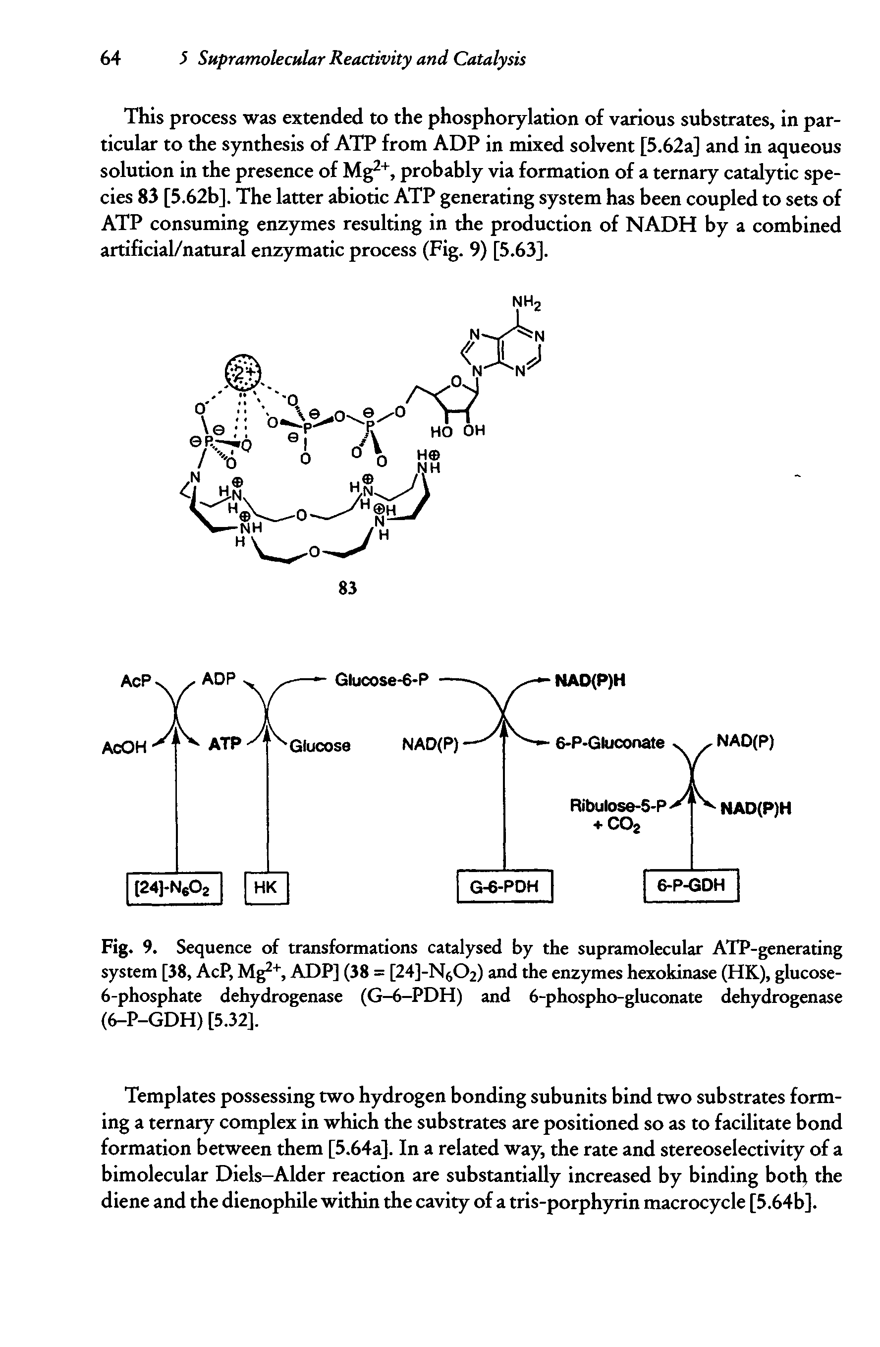 Fig. 9. Sequence of transformations catalysed by the supramolecular ATP-generating system [38, AcP, Mg2, ADP] (38 = [24]-N6C>2) and the enzymes hexokinase (HK), glucose-6-phosphate dehydrogenase (G-6-PDH) and 6-phospho-gluconate dehydrogenase (6-P-GDH) [5.32],...