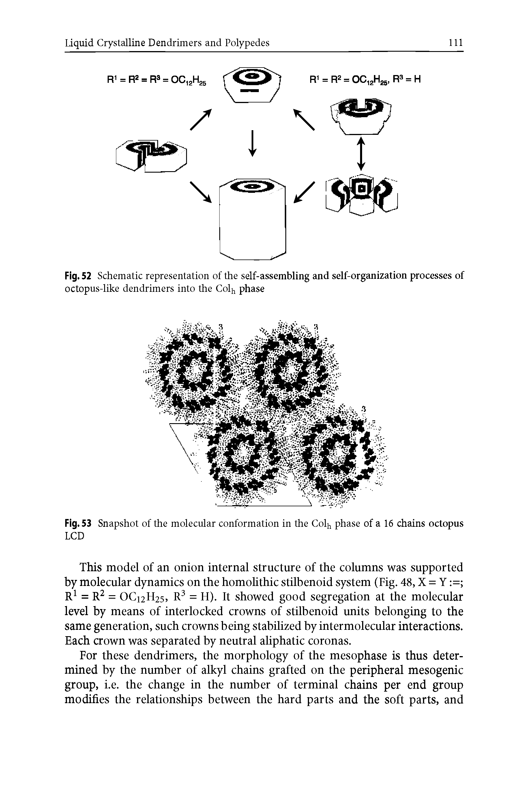 Fig. 52 Schematic representation of the self-assembling and self-organization processes of octopus-like dendrimers into the Colh phase...