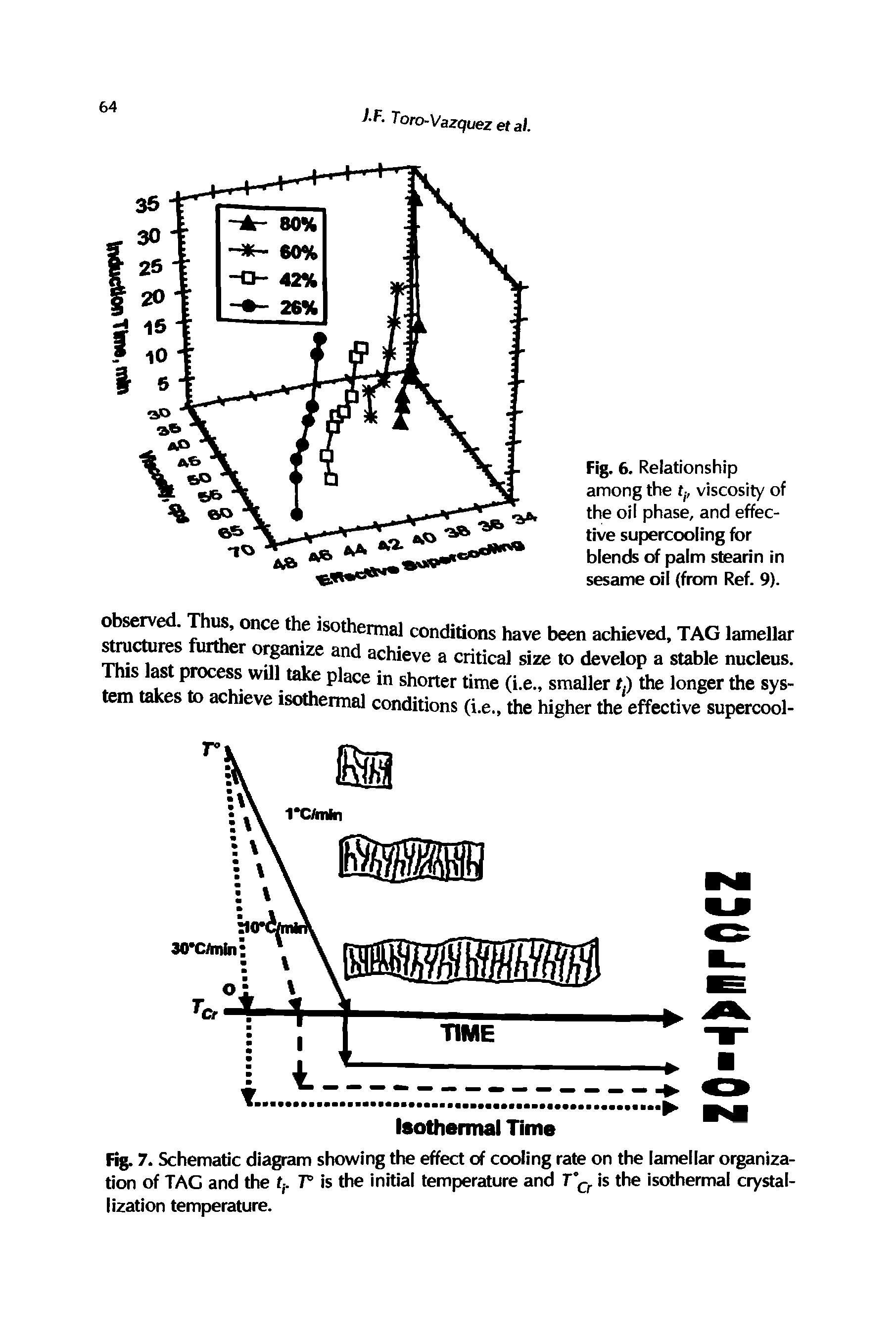 Fig. 7. Schematic diagram showing the effect of cooling rate on the lamellar organization of TAG and the t,. T is the initial temperature and is the isothermal crystallization temperature.