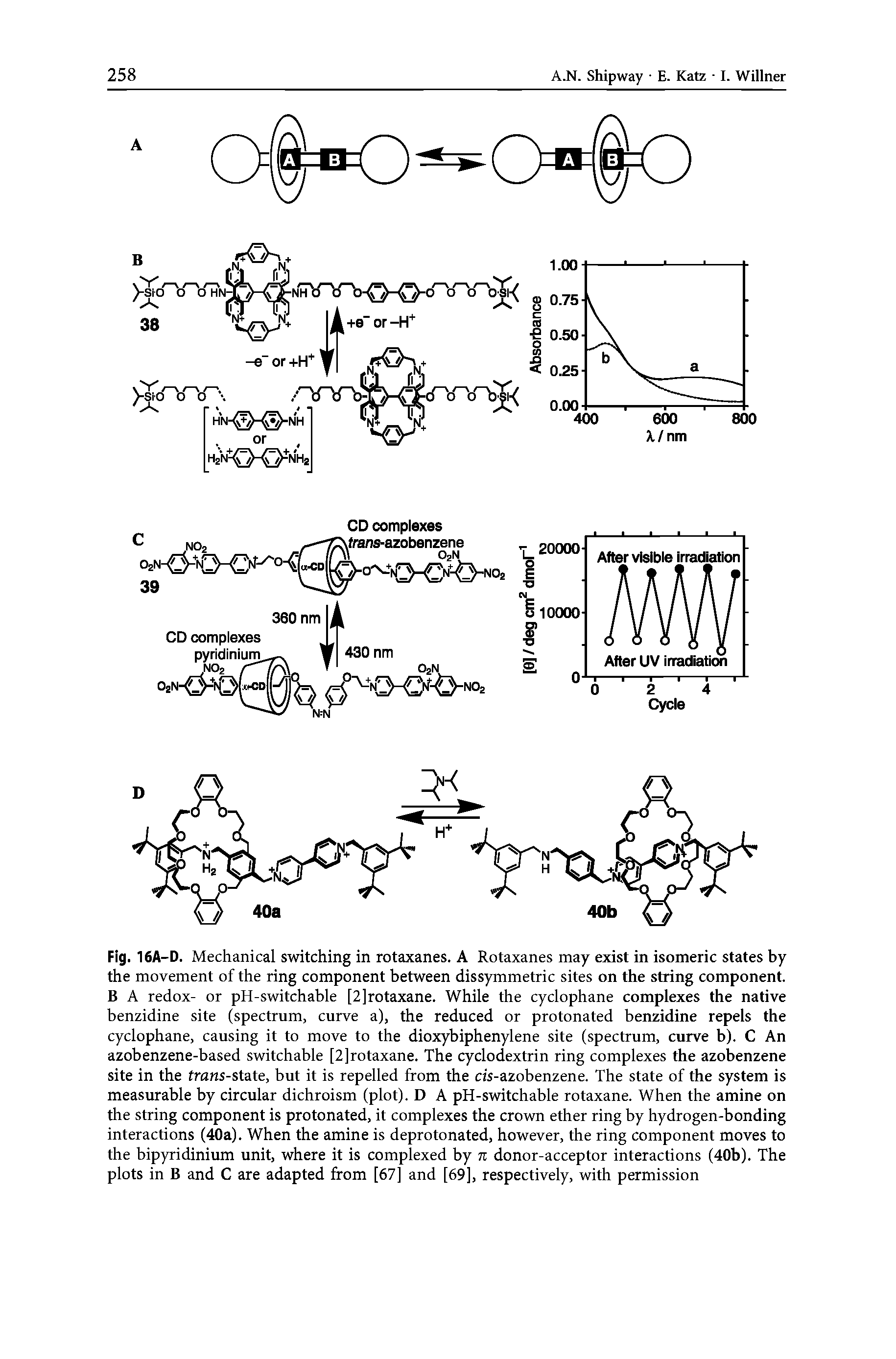 Fig. 16A-D. Mechanical switching in rotaxanes. A Rotaxanes may exist in isomeric states by the movement of the ring component between dissymmetric sites on the string component. B A redox- or pH-switchable [2]rotaxane. While the cyclophane complexes the native benzidine site (spectrum, curve a), the reduced or protonated benzidine repels the cyclophane, causing it to move to the dioxybiphenylene site (spectrum, curve b). C An azobenzene-based switchable [2]rotaxane. The cyclodextrin ring complexes the azobenzene site in the trans-state, but it is repelled from the ds-azobenzene. The state of the system is measurable by circular dichroism (plot). D A pH-switchable rotaxane. When the amine on the string component is protonated, it complexes the crown ether ring by hydrogen-bonding interactions (40a). When the amine is deprotonated, however, the ring component moves to the bipyridinium unit, where it is complexed by n donor-acceptor interactions (40b). The plots in B and C are adapted from [67] and [69], respectively, with permission...