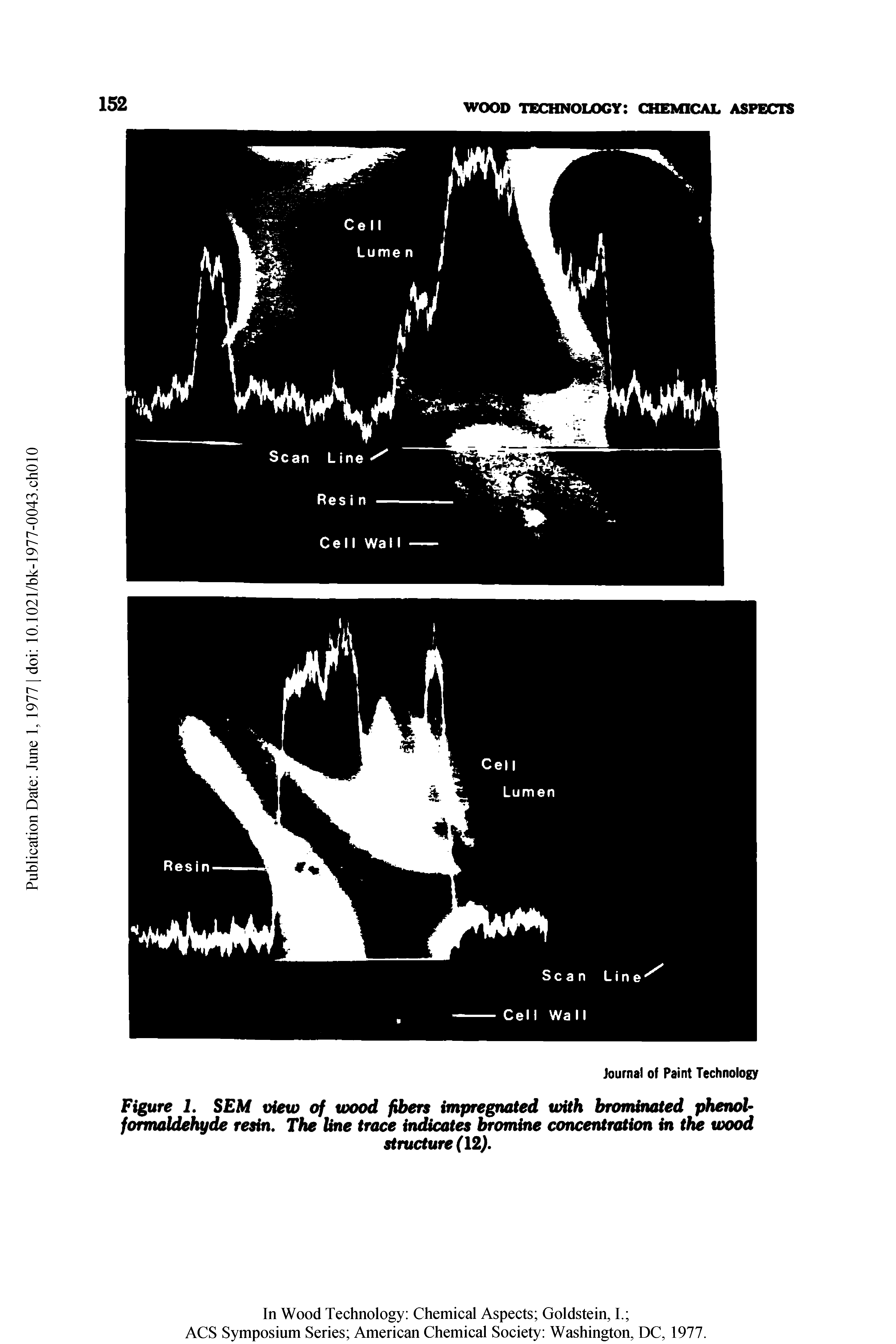 Figure 2. SEM view of wood fibers impregnated with brominated phenol-formaldehyde resin. The line trace indicates bromine concentration in the wood...