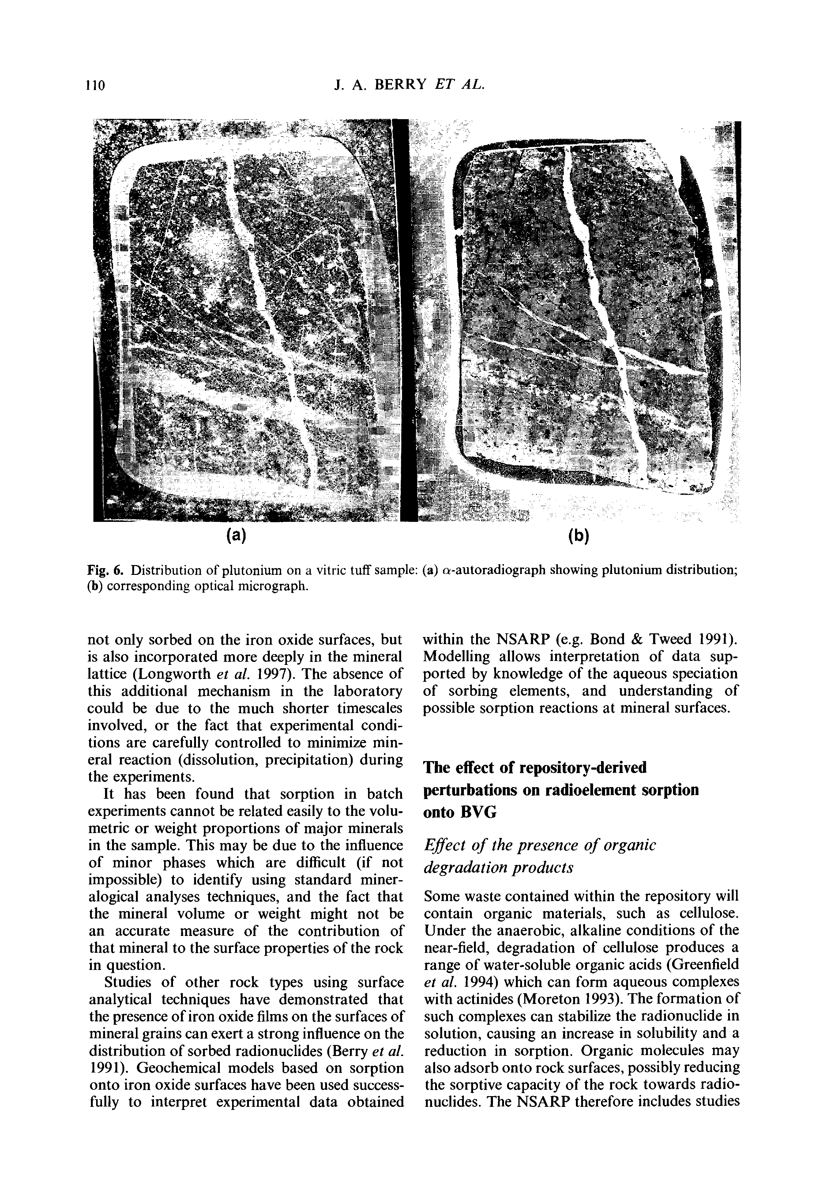 Fig. 6. Distribution of plutonium on a vitric tuff sample (a) a-autoradiograph showing plutonium distribution (b) corresponding optical micrograph.