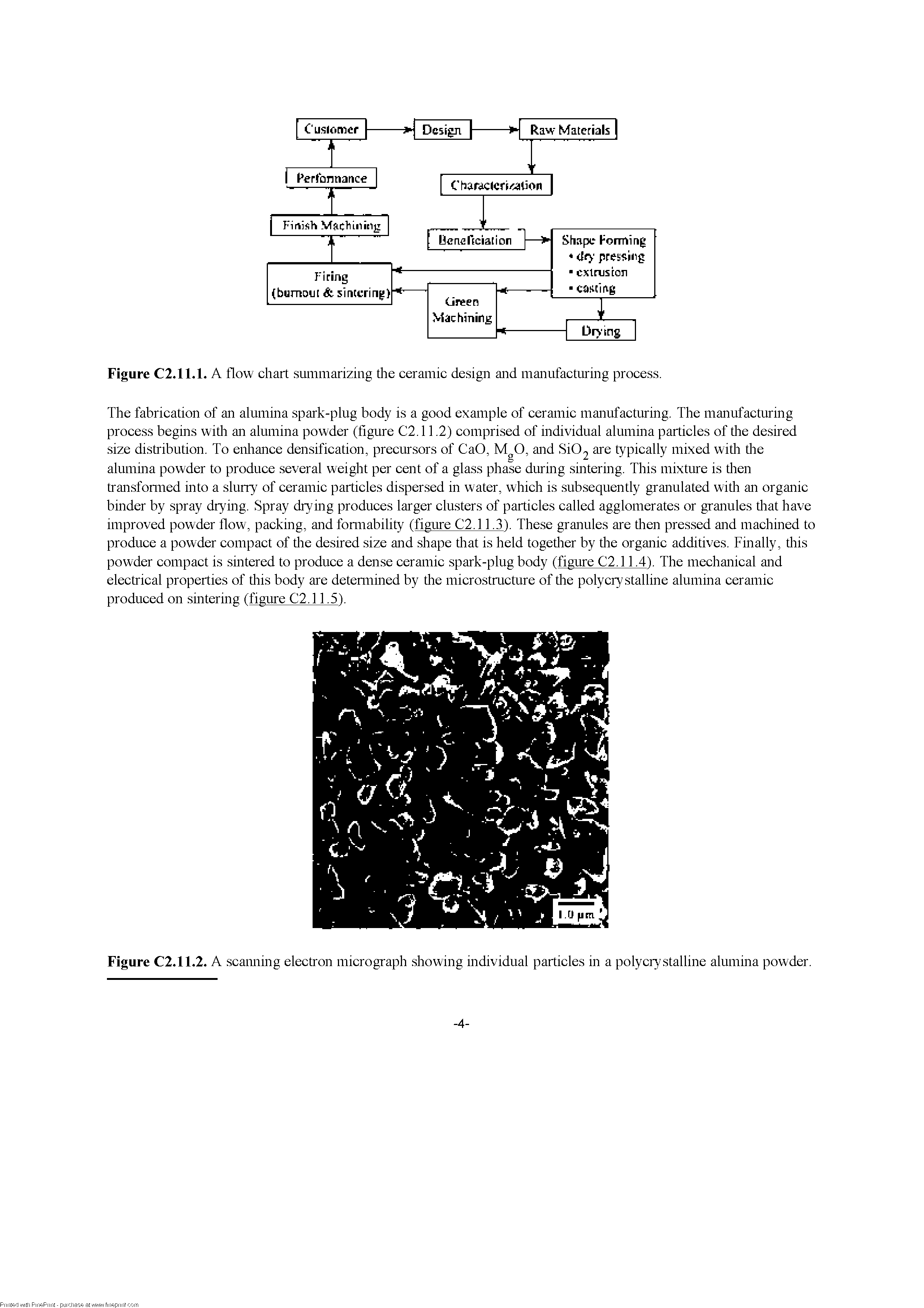 Figure C2.11.2. A scanning electron micrograph showing individual particles in a poly crystalline alumina powder.