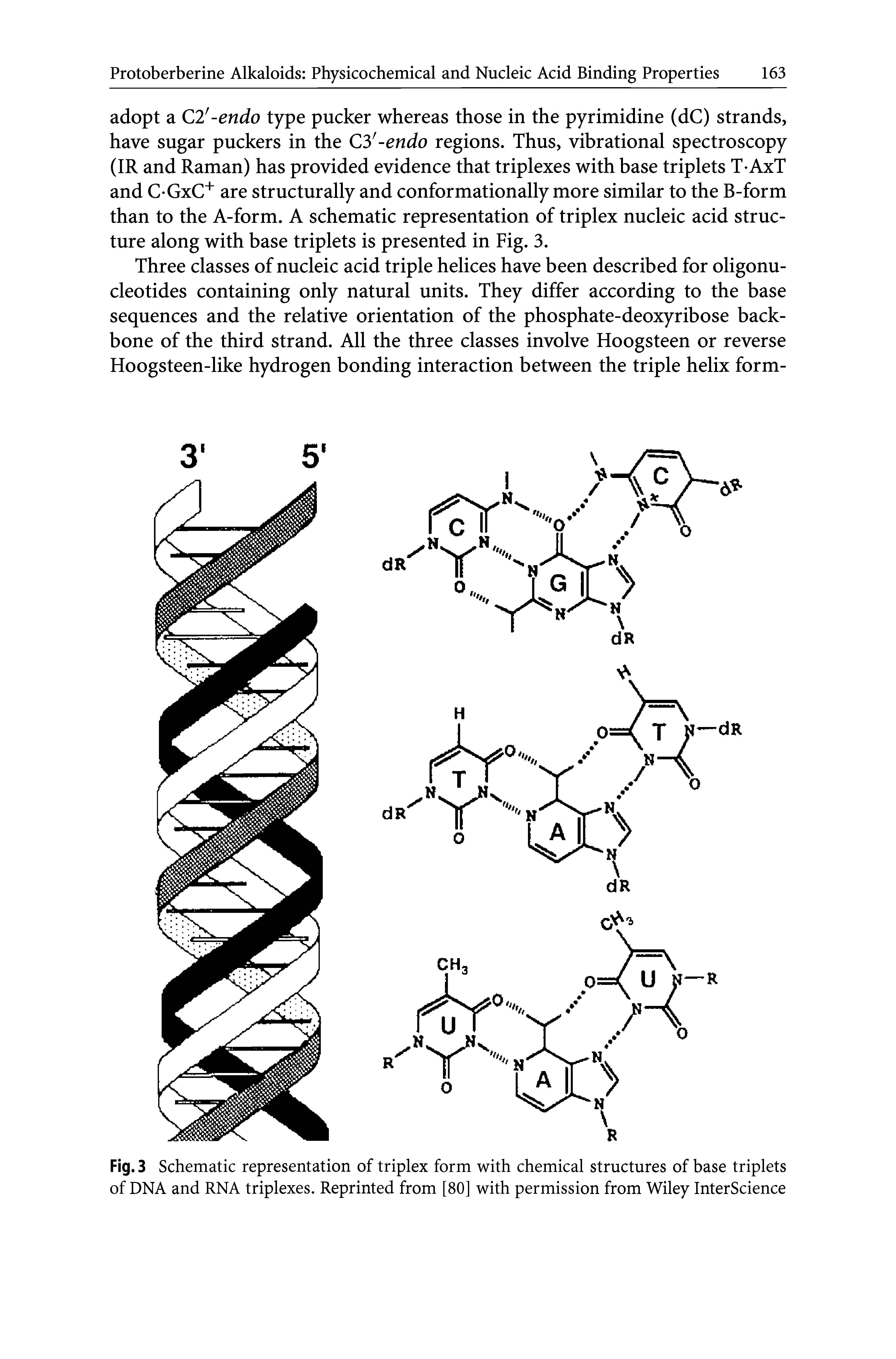 Fig. 3 Schematic representation of triplex form with chemical structures of base triplets of DNA and RNA triplexes. Reprinted from [80] with permission from Wiley InterScience...