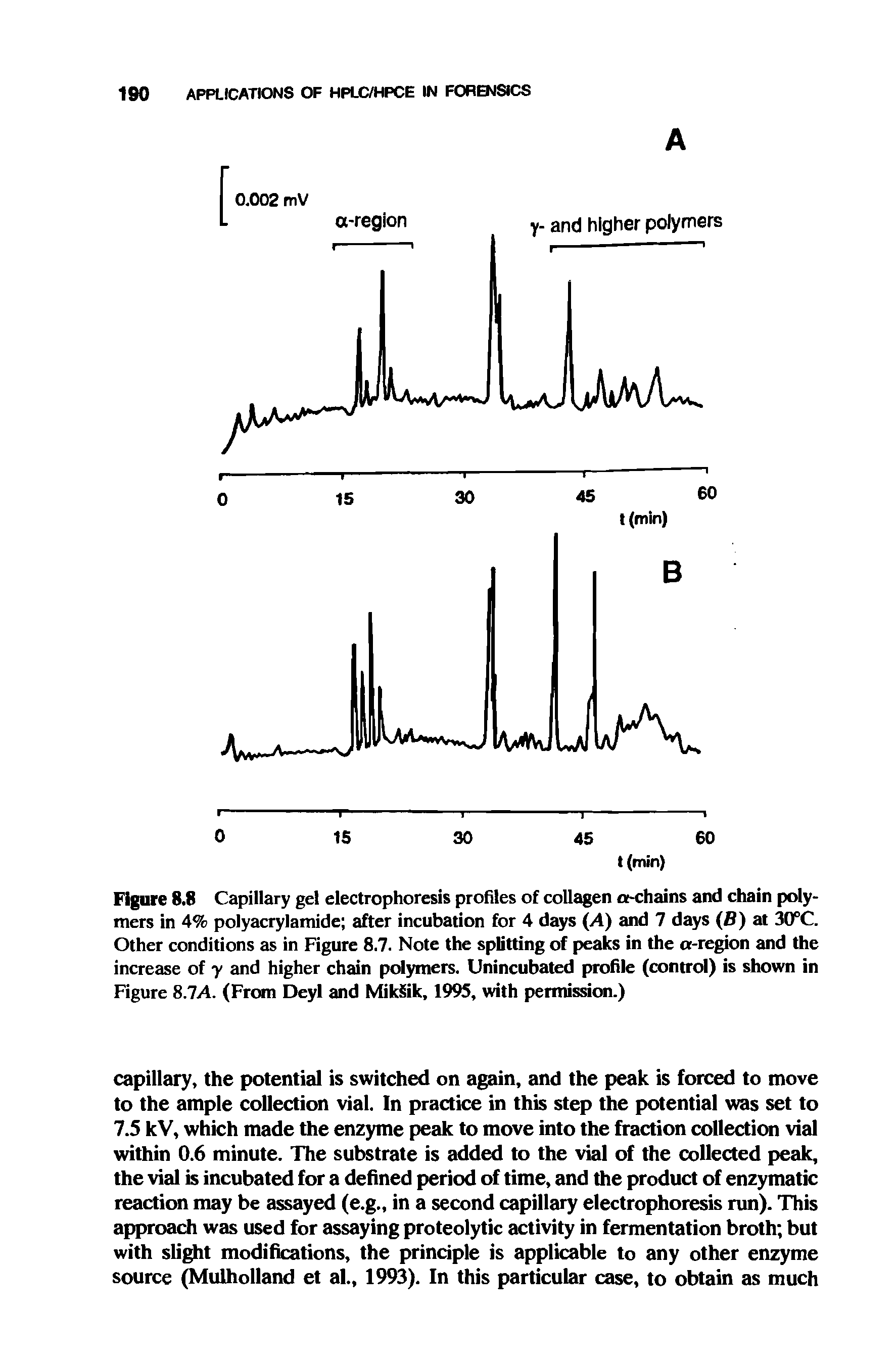 Figure 8.8 Capillary gel electrophoresis profiles of collagen a-chains and chain polymers in 4% polyacrylamide after incubation for 4 days A) and 7 days (fl) at 30°C. Other conditions as in Figure 8.7. Note the splitting of peaks in the cr-region and the increase of y and higher chain polymers. Unincubated profile (control) is shown in Figure 8.7A. (From Deyl and MikSik, 1995, with permission.)...