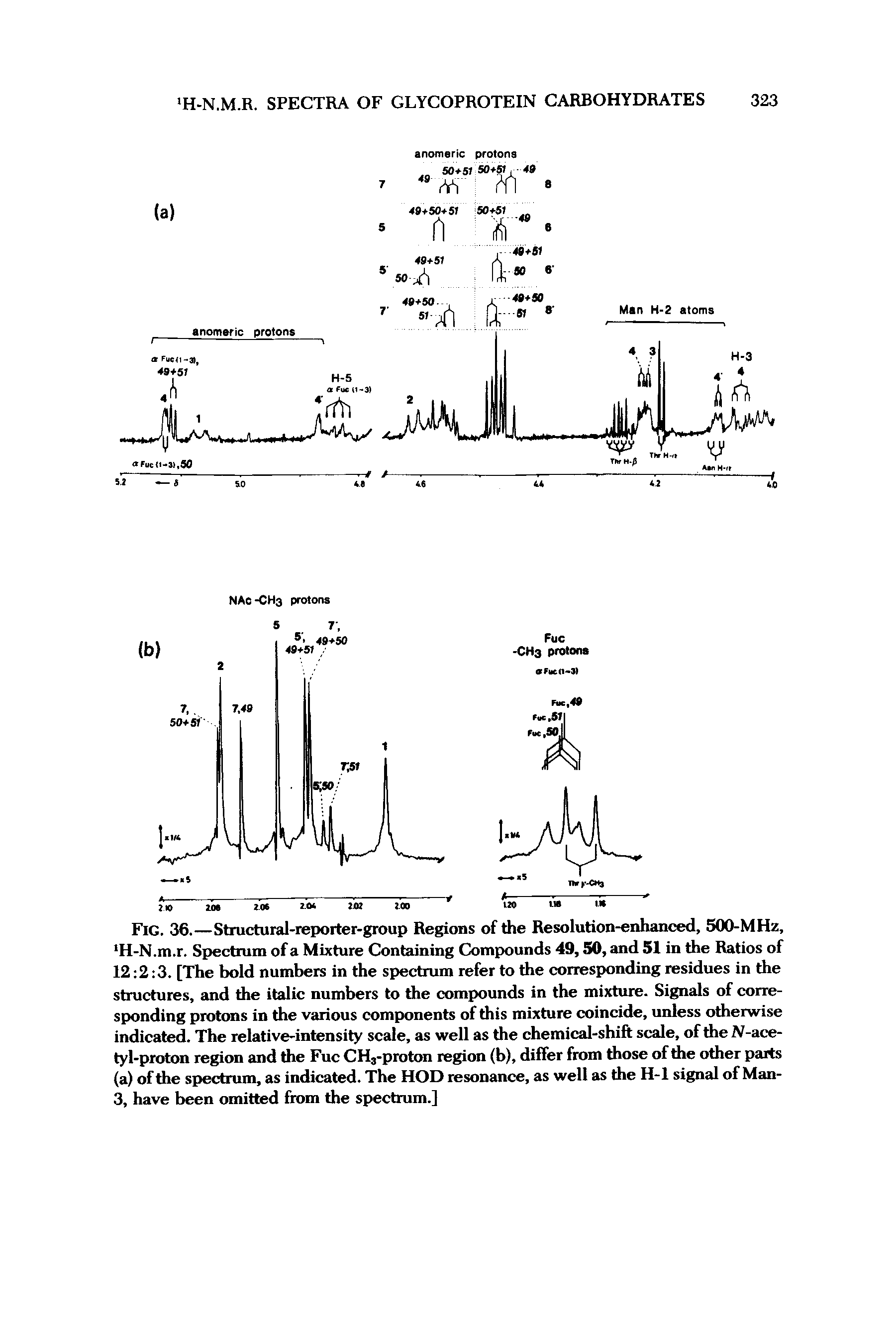 Fig. 36.—Structural-reporter-group Regions of the Resolution-enhanced, 500-MHz, H-N.m.r. Spectrum of a Mixture Containing Compounds 49,50, and 51 in the Ratios of 12 2 3. [The bold numbers in the spectrum refer to the corresponding residues in the structures, and die italic numbers to the compounds in the mixture. Signals of corresponding protons in the various components of this mixture coincide, unless otherwise indicated. The relative-intensity scale, as well as the chemical-shift scale, of the N-acetyl-proton region and the Fuc CH3-proton region (b), differ from those of the other parts (a) of the spectrum, as indicated. The HOD resonance, as well as the H-l signal of Man-3, have been omitted from the spectrum.]...