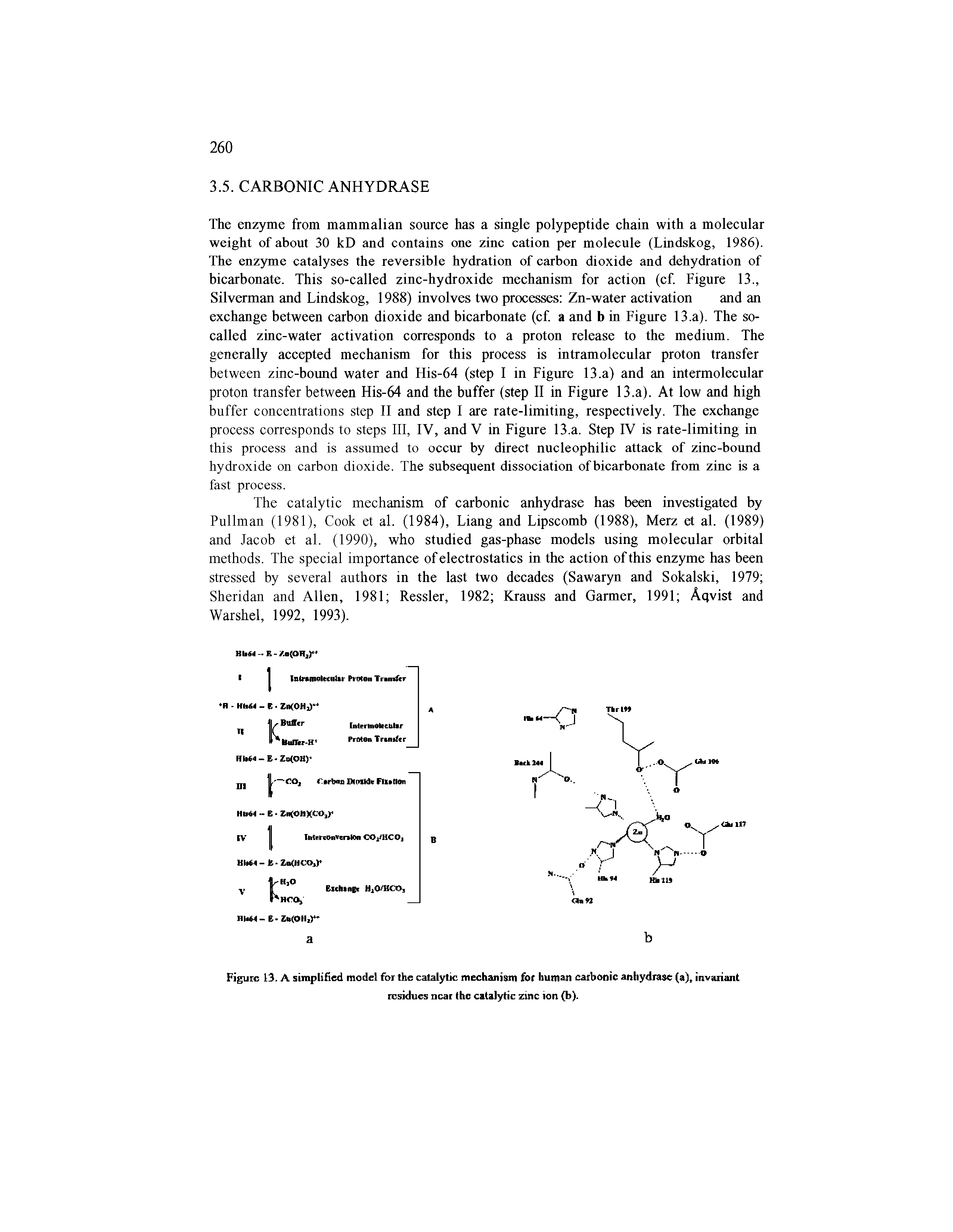 Figure 13. A simplified model for the catalytic mechanism for human carbonic anhydrase (a), invariant residues near the catalytic zinc ion (b).