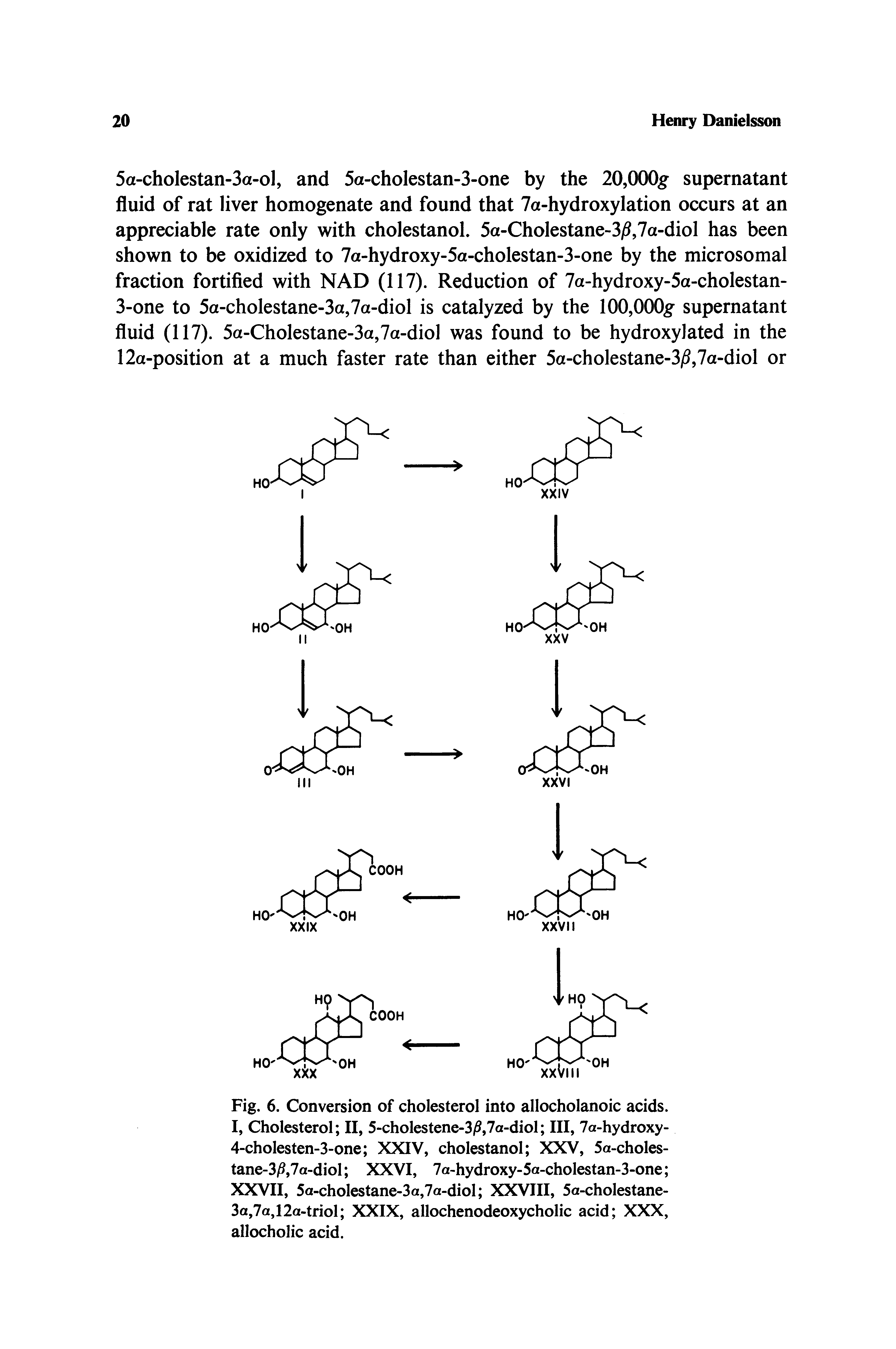Fig. 6. Conversion of cholesterol into allocholanoic acids. I, Cholesterol II, 5-cholestene-3/5,7a-diol III, 7a-hydroxy-4-cholesten-3-one XXIV, cholestanol XXV, 5a-choles-tane-3i ,7a-diol XXVI, 7a hydroxy-5a-cholestan-3-one XXVII, 5a-cholestane-3a,7a-diol XXVIII, 5a-cholestane-3a,7a,12a-triol XXIX, allochenodeoxycholic acid XXX, allocholic acid.