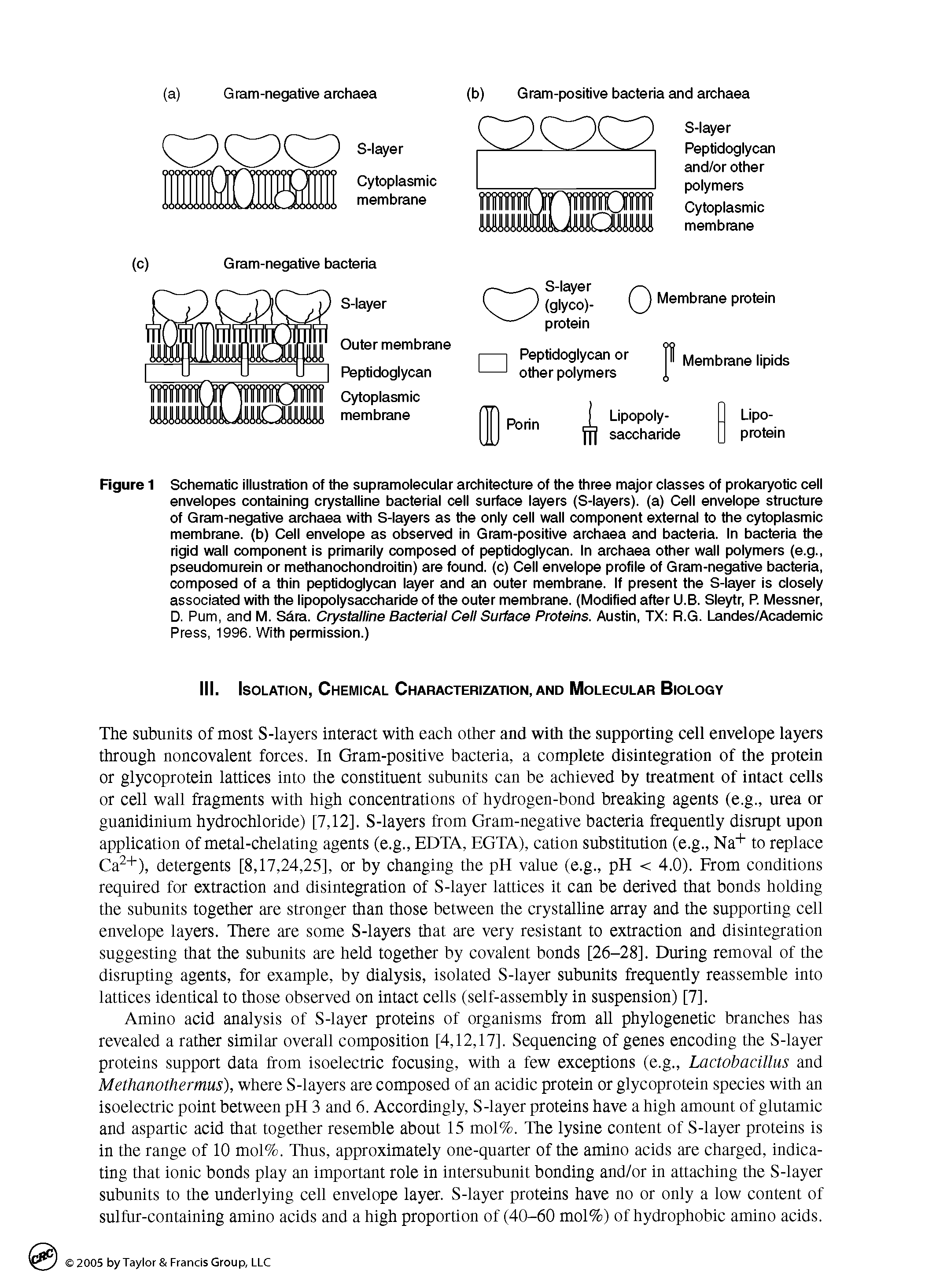 Figure 1 Schematic illustration of the supramolecular architecture of the three major classes of prokaryotic cell envelopes containing crystalline bacterial cell surtece layers (S-layers). (a) Cell envelope structure of Gram-negative archaea with S-layers as the only cell wall component external to the cytoplasmic membrane, (b) Cell envelope as observed in Gram-positive archaea and bacteria. In bacteria the rigid wall component is primarily composed of peptidoglycan. In archaea other wall polymers (e.g., pseudomurein or methanochondroitin) are found, (c) Cell envelope profile of Gram-negative bacteria, composed of a thin peptidoglycan layer and an outer membrane. If present the S-layer is closely associated with the lipopolysaccharide of the outer membrane. (Modified after U.B. Sleytr, P. Messner, D. Pum, and M. Sdra. Crystalline Bacterial Cell Surface Proteins. Austin, TX R.G. Landes/Academic Press, 1996. With permission.)...