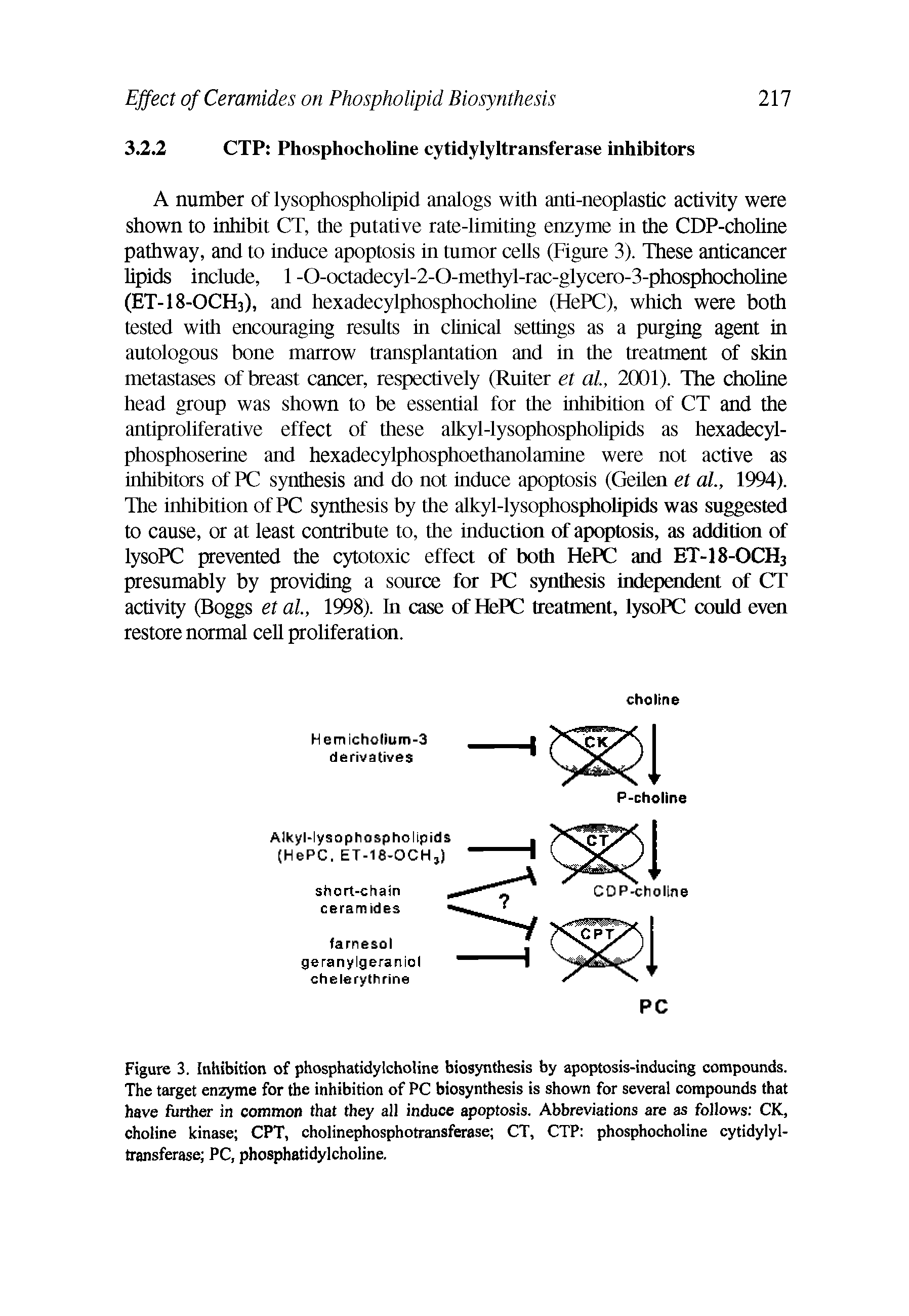 Figure 3. Inhibition of phosphatidylcholine biosynthesis by apoptosis-inducing compounds. The target enzyme for the inhibition of PC biosynthesis is shown for several compounds that have further in common that they all induce apoptosis. Abbreviations are as follows CK, choline kinase CPT, cholinephosphotransferase CT, CTP phosphocholine cytidylyltransferase PC, phosphatidylcholine.