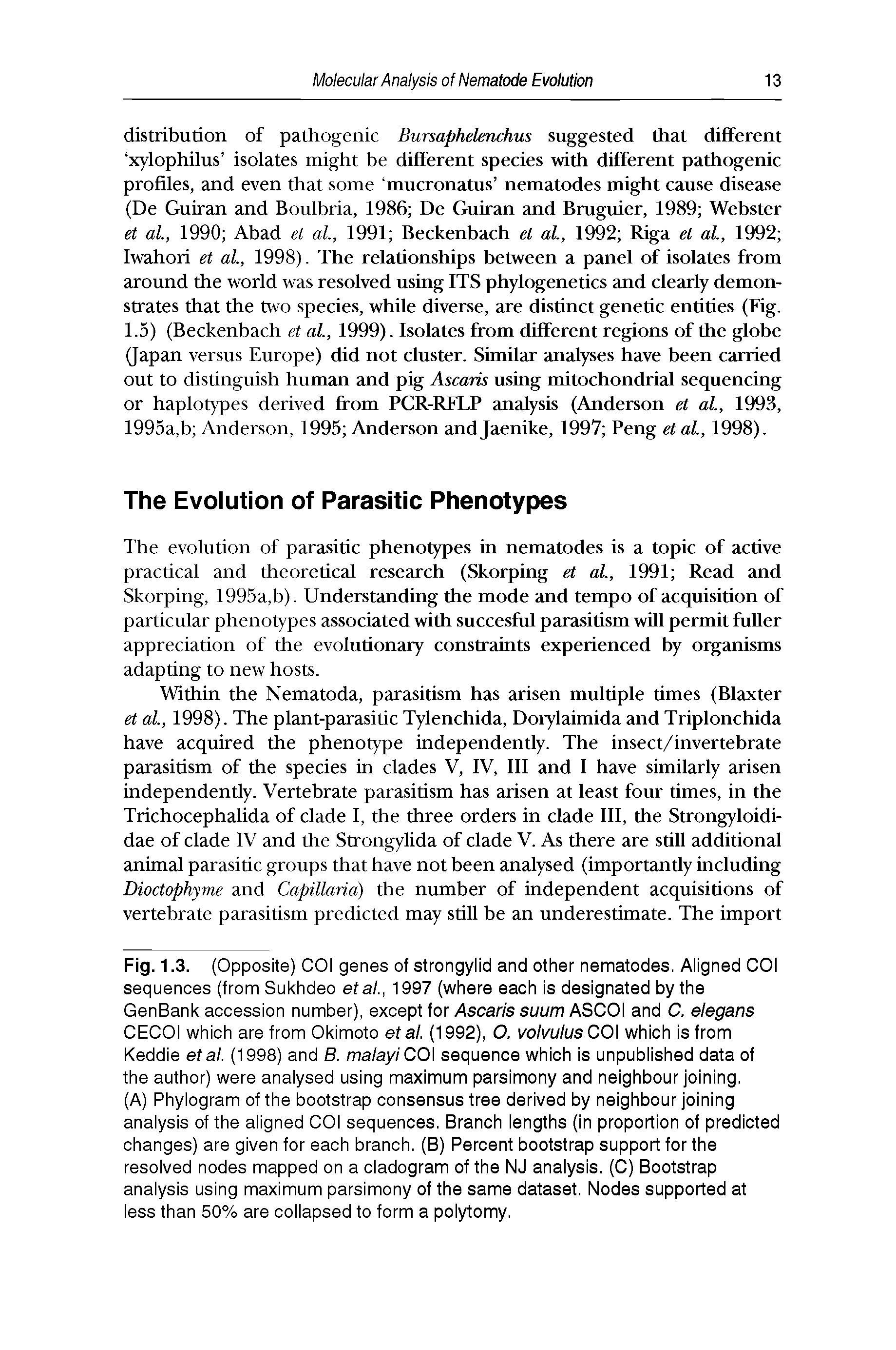 Fig. 1.3. (Opposite) COI genes of strongylid and other nematodes. Aligned COI sequences (from Sukhdeo etal., 1997 (where each is designated by the GenBank accession number), except for Ascaris suum ASCOI and C. elegans CECOI which are from Okimoto et al. (1992), O. volvulus COI which is from Keddie etal. (1998) and B. malayiCO sequence which is unpublished data of the author) were analysed using maximum parsimony and neighbour joining.