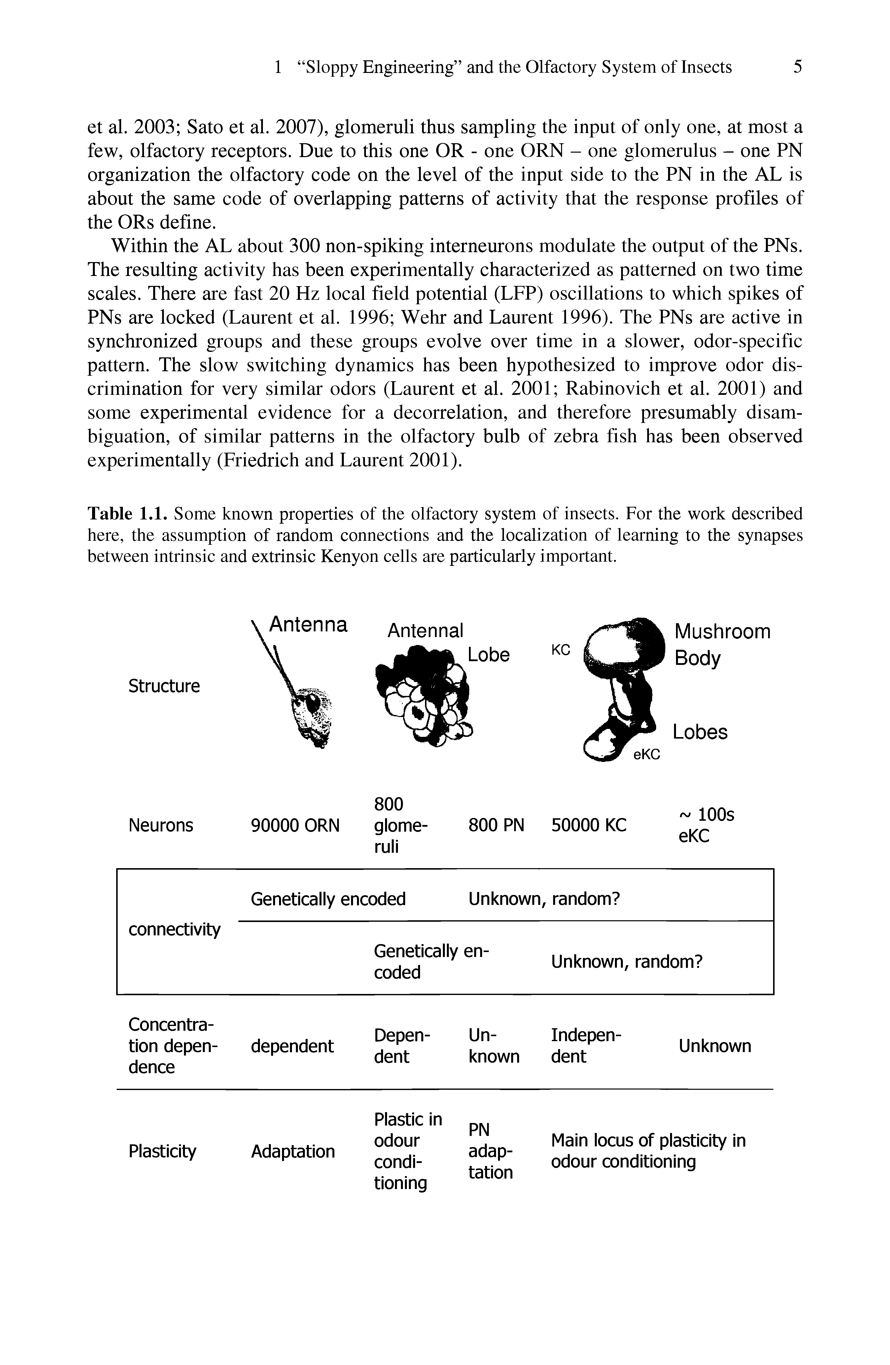 Table 1.1. Some known properties of the olfactory system of insects. For the work described here, the assumption of random connections and the localization of learning to the synapses between intrinsic and extrinsic Kenyon cells are particularly important.