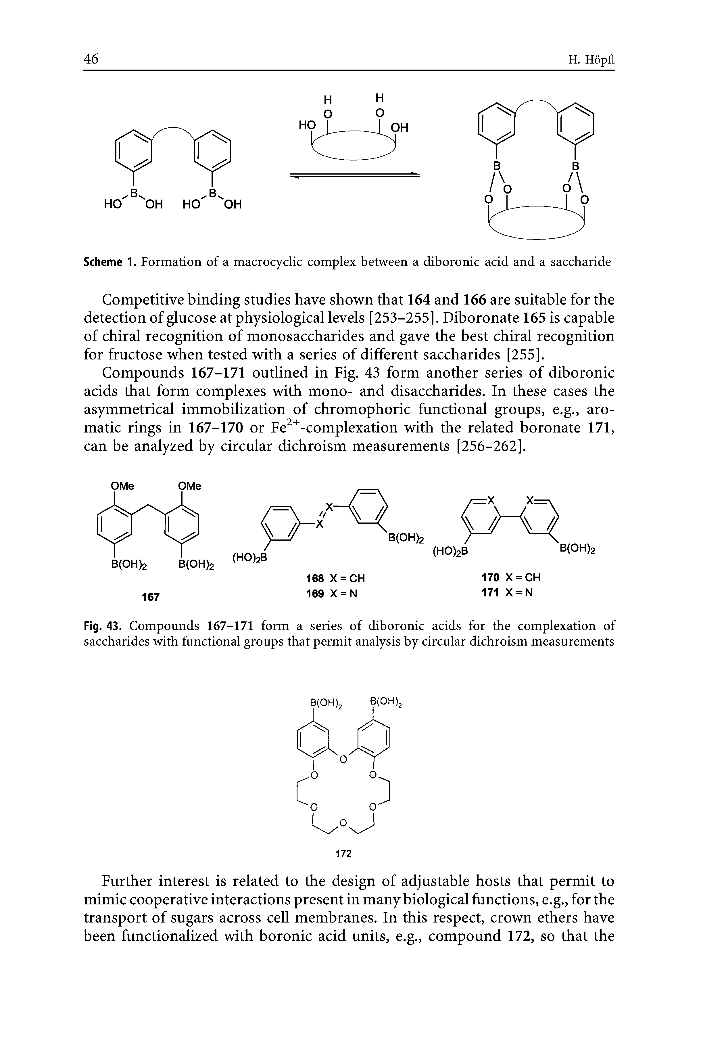 Scheme 1. Formation of a macrocyclic complex between a diboronic acid and a saccharide...