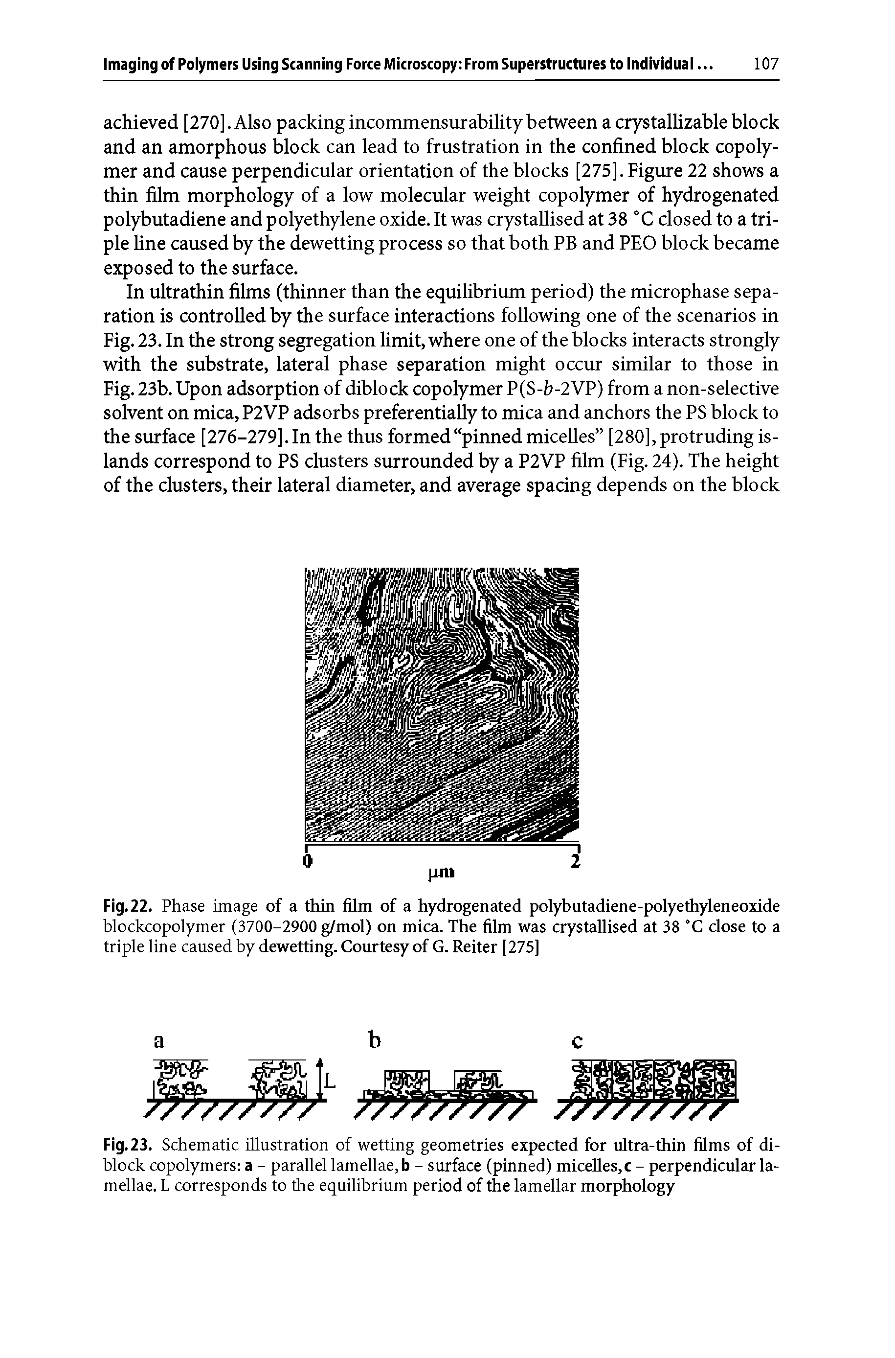 Fig. 22. Phase image of a thin film of a hydrogenated polybutadiene-polyethyleneoxide blockcopolymer (3700-2900 g/mol) on mica. The film was crystallised at 38 C close to a triple line caused by dewetting. Courtesy of G. Reiter [275]...