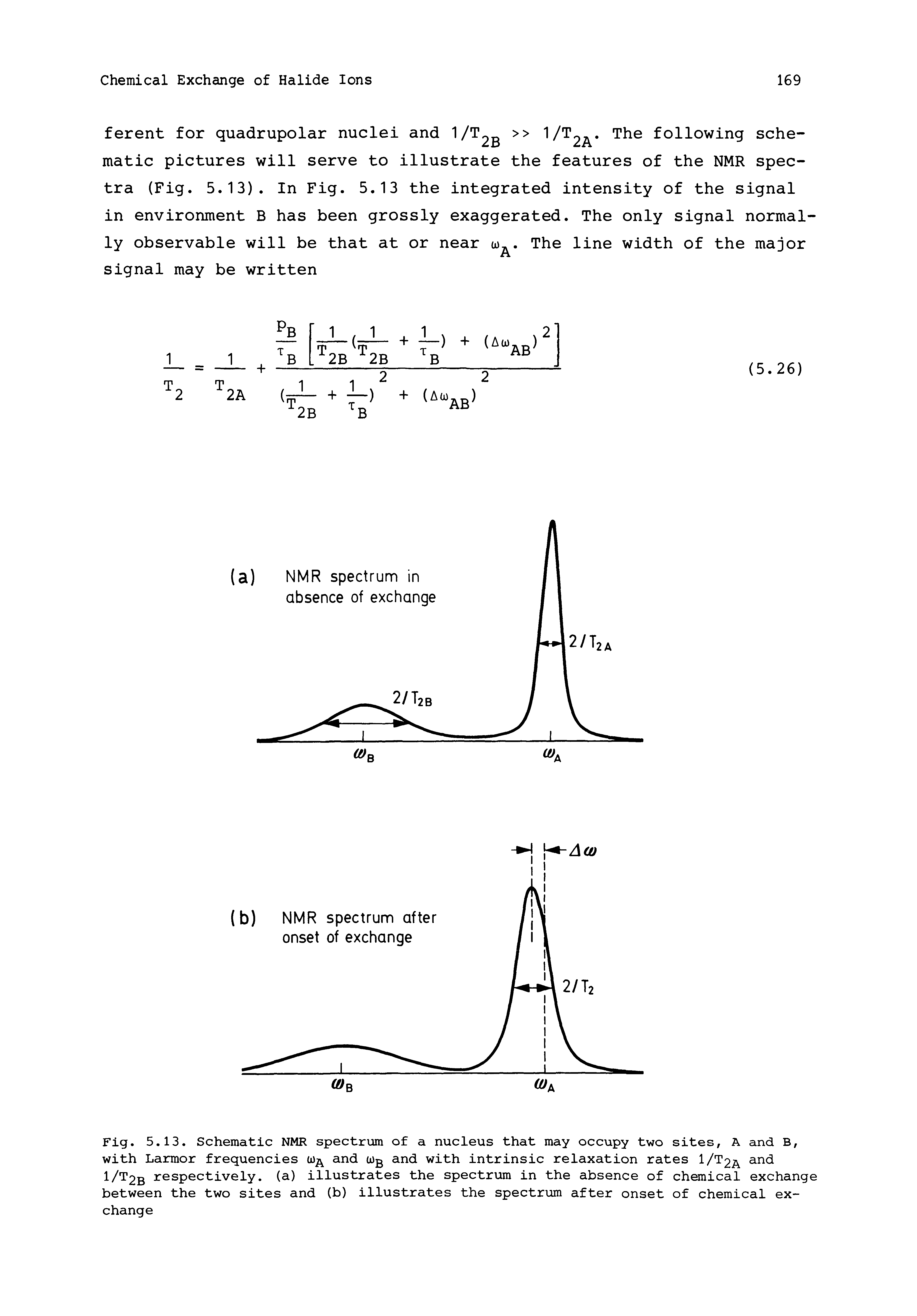Fig. 5.13. Schematic NMR spectrum of a nucleus that may occupy two sites, A and B, with Larmor frequencies and Wg and with intrinsic relaxation rates I/T2A 1/T2b respectively, (a) illustrates the spectrum in the absence of chemical exchange between the two sites and (b) illustrates the spectrum after onset of chemical exchange...