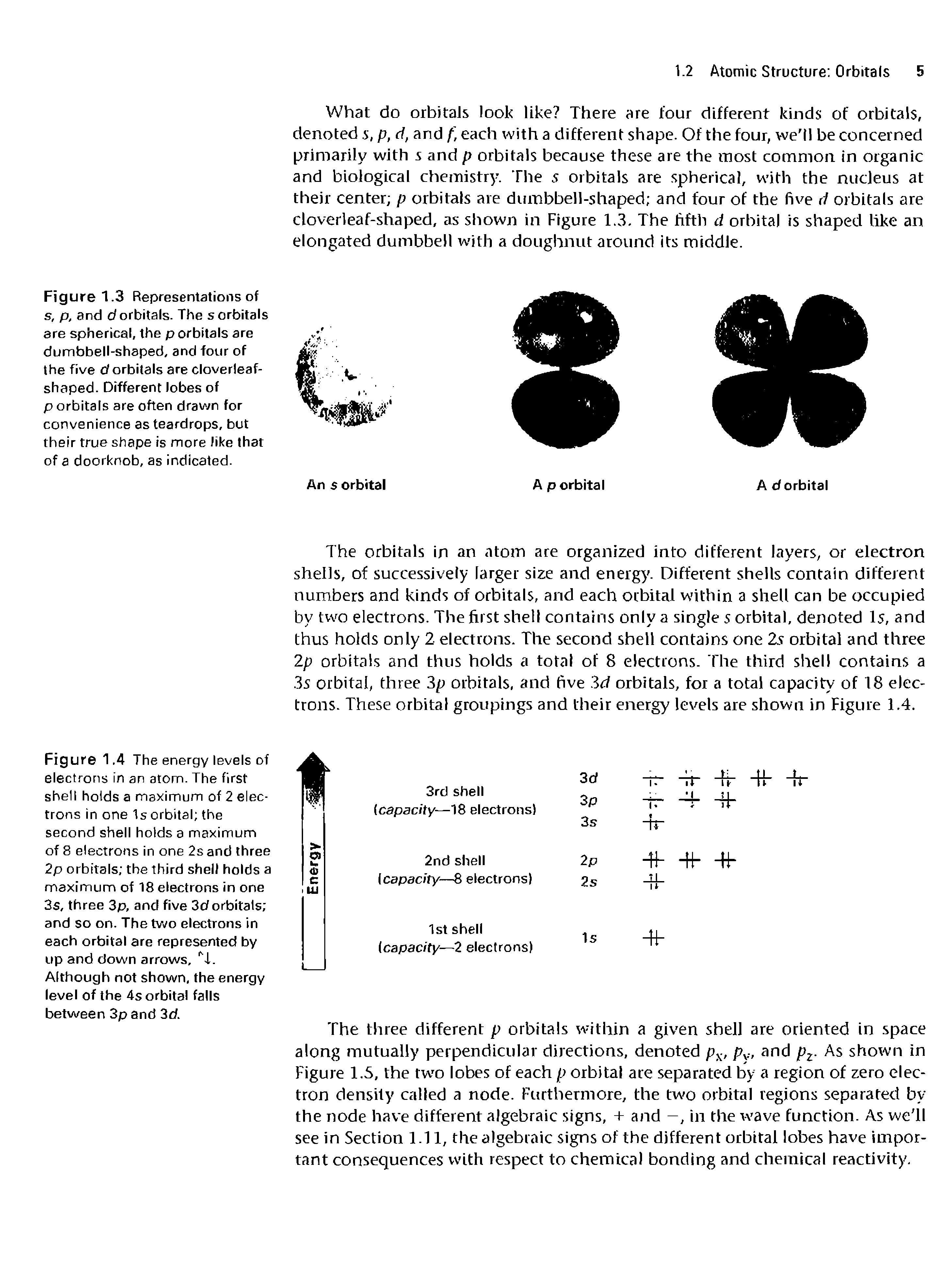 Figure 1.3 Representations of s, p, and d orbitals. The s orbitals are spherical, the p orbitals are dumbbell-shaped, and four of the five d orbitals are cloverleafshaped. Different lobes of p orbitals are often drawn for convenience as teardrops, but their true shape is more like that of a doorknob, as indicated.
