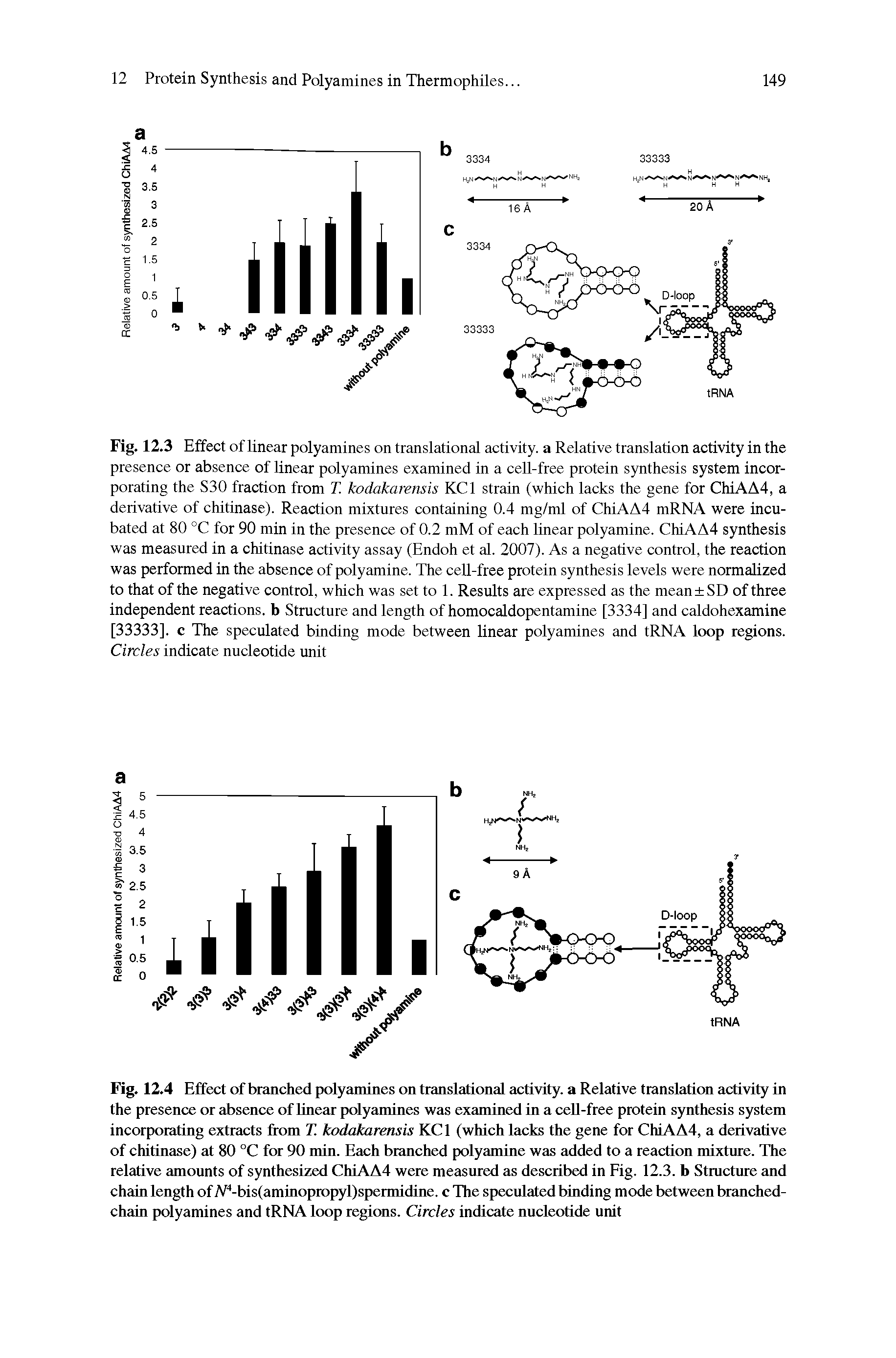 Fig. 12.4 Effect of branched polyamines on translational activity, a Relative translation activity in the presence or absence of linear polyamines was examined in a cell-free protein synthesis system incorporating extracts from T. kodakarensis KCl (which lacks the gene for ChiAA4, a derivative of chitinase) at 80 °C for 90 min. Each branched polyamine was added to a reaction mixture. The relative amounts of synthesized ChiAA4 were measured as described in Eig. 12.3. b Structure and chain length of A -bis(aminopropyl)spermidine. c The speculated binding mode between branched-chain polyamines and tRNA loop regions. Circles indicate nucleotide unit...