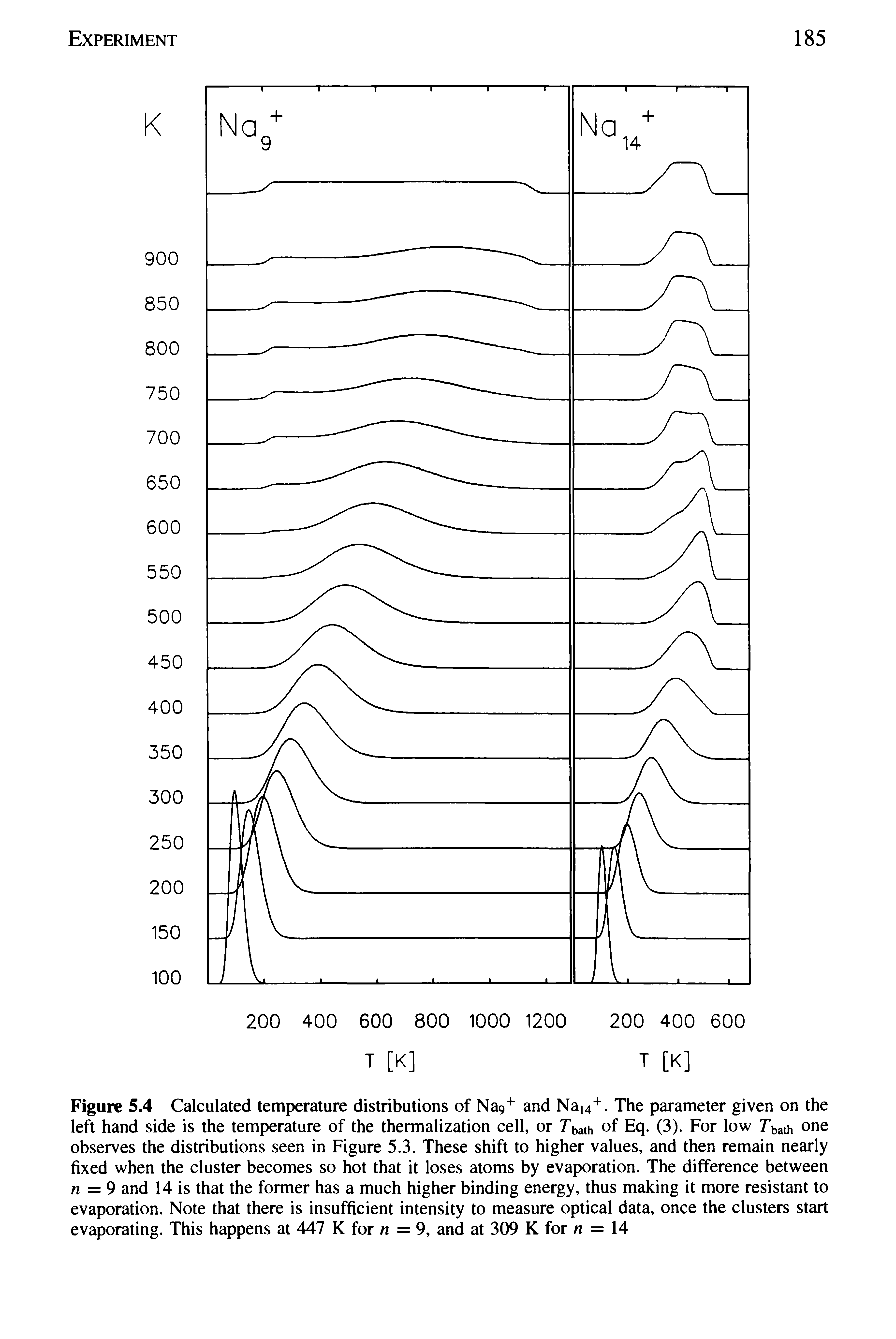 Figure 5.4 Calculated temperature distributions of NaQ and Nai4+. The parameter given on the left hand side is the temperature of the thermalization cell, or Tbath of Eq. (3). For low Tbath one observes the distributions seen in Figure 5.3. These shift to higher values, and then remain nearly fixed when the cluster becomes so hot that it loses atoms by evaporation. The difference between n = 9 and 14 is that the former has a much higher binding energy, thus making it more resistant to evaporation. Note that there is insufficient intensity to measure optical data, once the clusters start evaporating. This happens at 447 K for /i = 9, and at 309 K for = 14...