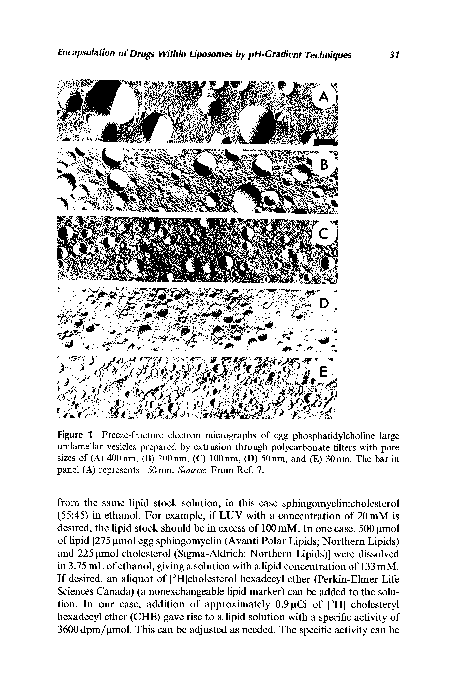 Figure 1 Freeze-fracture electron micrographs of egg phosphatidylcholine large unilamellar vesicles prepared by extrusion through polycarbonate filters with pore sizes of (A) 400 nm, (B) 200 run, (Q 100 nm, (D) 50 nm, and (E) 30 nm. The bar in panel (A) represents 150nm. Source From Ref. 7.