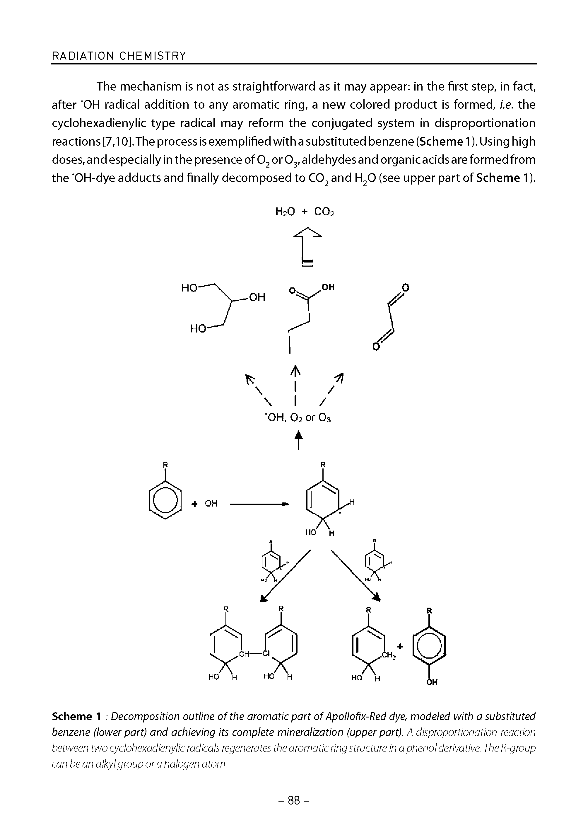 Scheme 1 Decomposition outline ofthe aromatic part of Apollofix-Red dye, modeled with a substituted benzene (lower part) and achieving its complete mineralization (upper part). A disproportionation reaction between two cyclohexadienylic radicals regenerates the aromatic ring structure In a phenol derivative. The R-group can be an alkyl group ora halogen atom.
