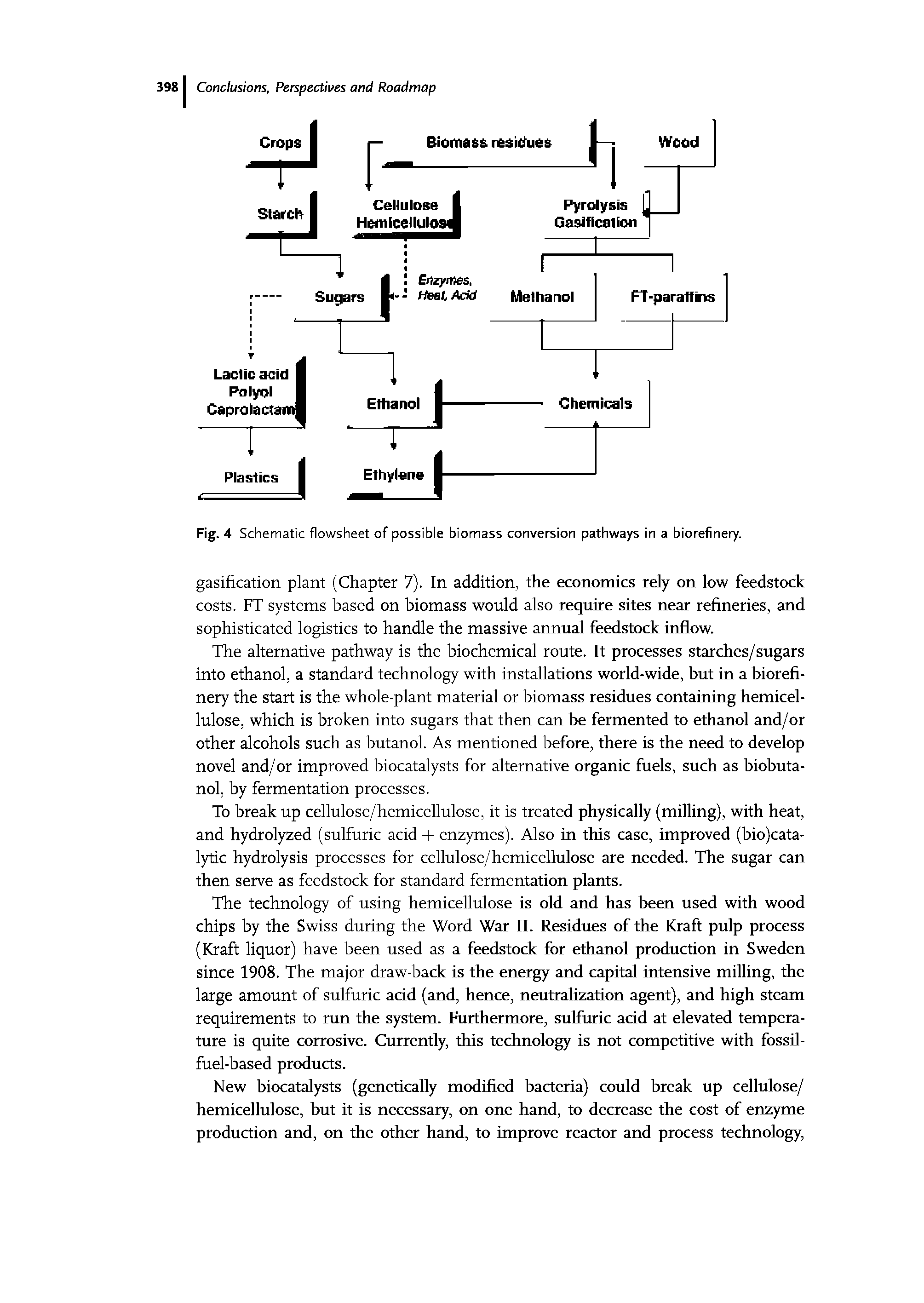 Fig. 4 Schematic flowsheet of possible biomass conversion pathways in a biorefinery.
