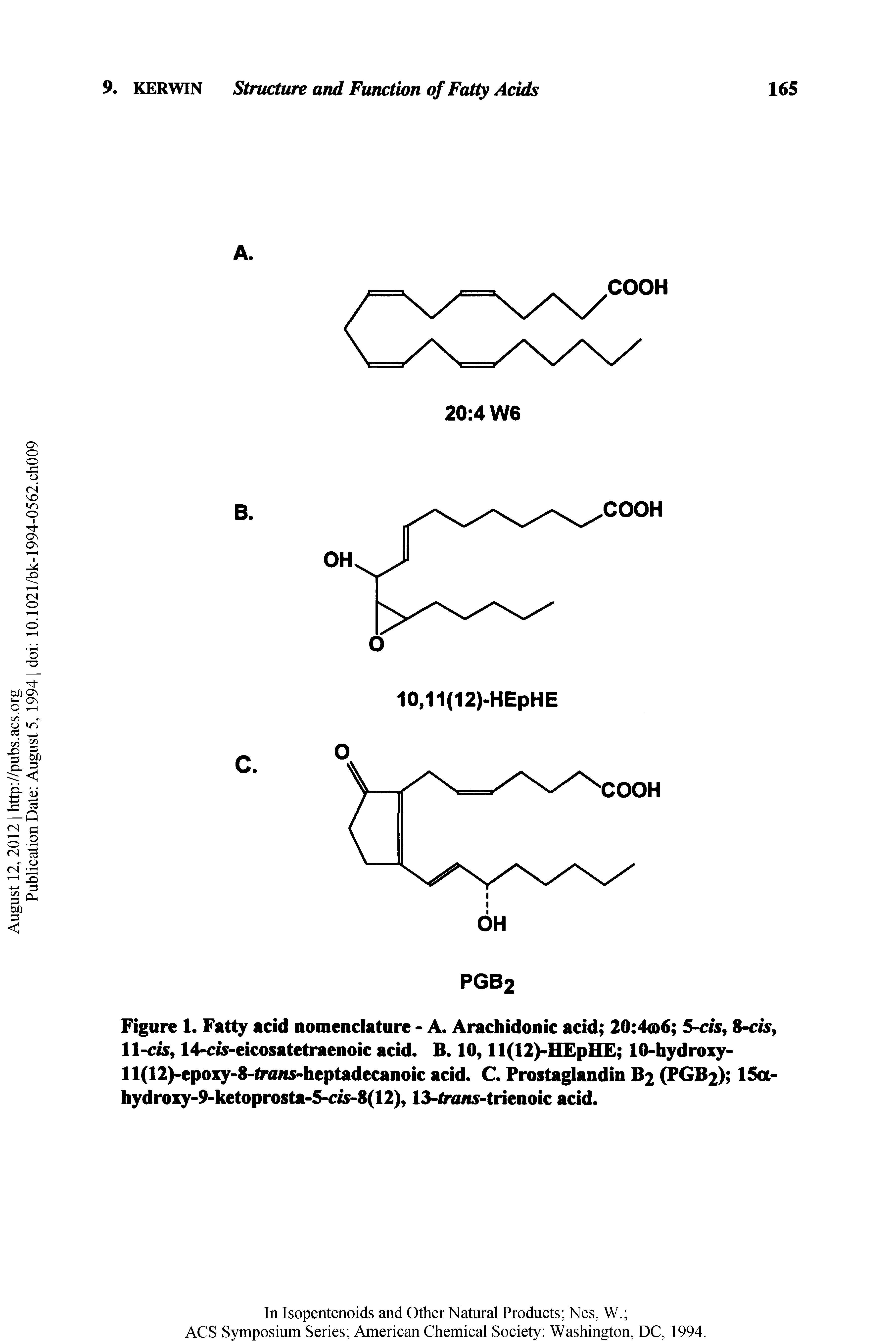Figure 1. Fatty acid nomenclature - A. Arachidonic acid 20 4a>6 5-c, 8-c , 11-cis, 14-c -eicosatetraenoic acid. B. 10, ll(12)-H pH 10-hydroxy-ll(12)-epoxy-8-lriiifs-heptadecanoic acid. C. Prostaglandin B2 (PGB2) 15a-hydroxy-9-ketoprosta-5 tf-8(12), 13-lra t5-trienoic acid.