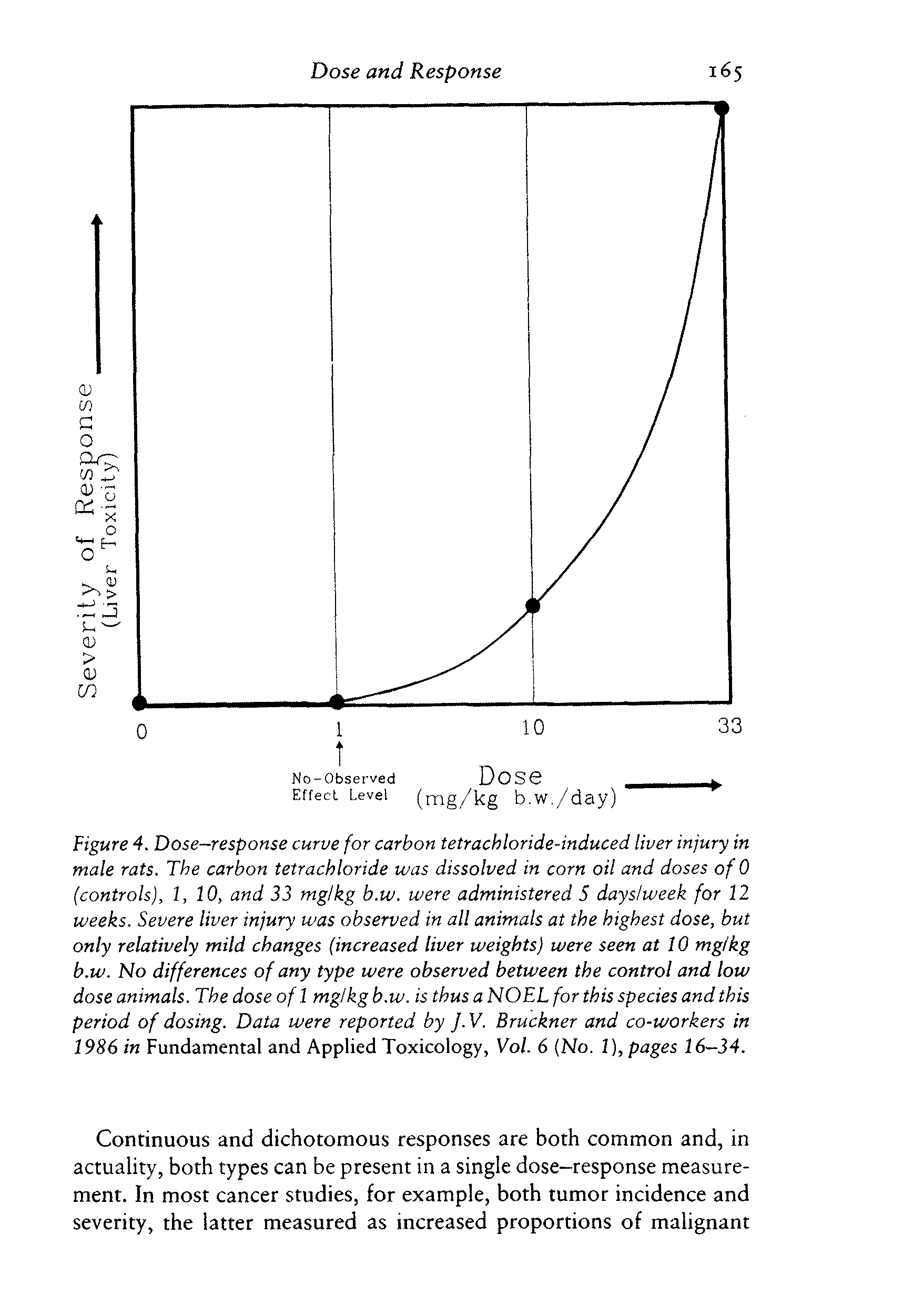 Figure 4. Dose-response curve for carbon tetrachloride-induced liver injury in male rats. The carbon tetrachloride was dissolved in corn oil and doses of 0 (controls), l, 10, and 33 mg/kg b.w. were administered 5 dayslweek for 12 weeks. Severe liver injury was observed in all animals at the highest dose, but only relatively mild changes (increased liver weights) were seen at 10 mg/kg b.w. No differences of any type were observed between the control and low dose animals. The dose of 1 mg/kg b.w. is thus a NOEL for this species and this period of dosing. Data were reported by J.V. Bruckner and co-workers in 1986 in Fundamental and Applied Toxicology, Vol. 6 (No. 1), pages 16—34.