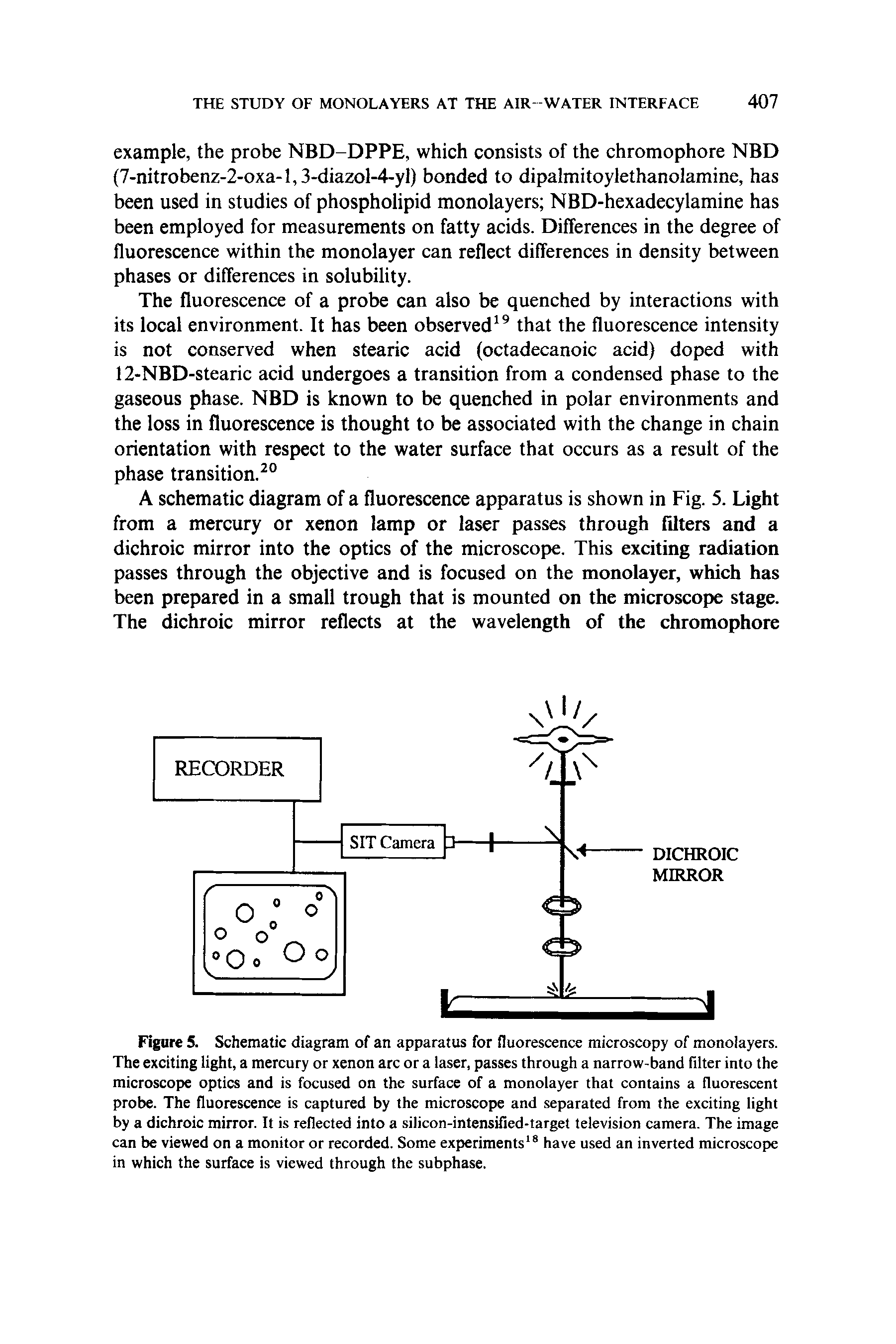 Figure 5. Schematic diagram of an apparatus for fluorescence microscopy of monolayers. The exciting light, a mercury or xenon arc or a laser, passes through a narrow-band filter into the microscope optics and is focused on the surface of a monolayer that contains a fluorescent probe. The fluorescence is captured by the microscope and separated from the exciting light by a dichroic mirror. It is reflected into a silicon-intensified-target television camera. The image can be viewed on a monitor or recorded. Some experiments have used an inverted microscope in which the surface is viewed through the subphase.