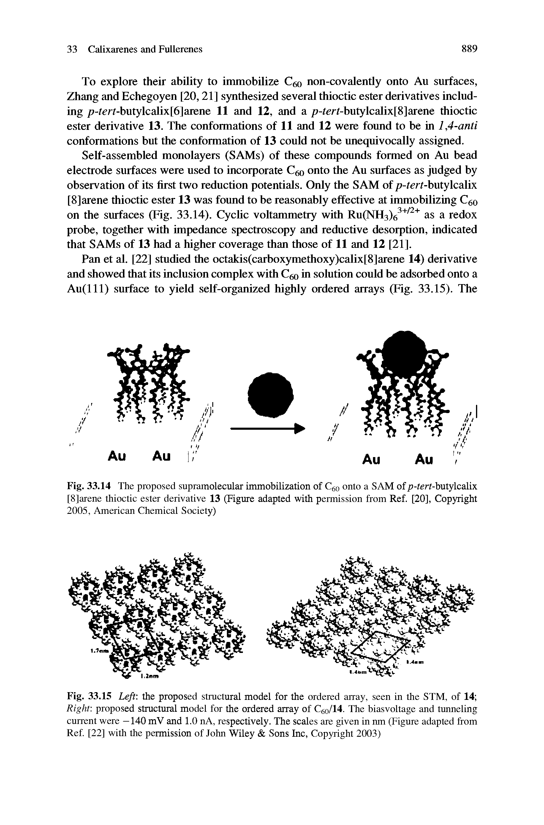 Fig. 33.14 The proposed supramolecular immobilization of Cgo onto a SAM of p-tert-butylcalix [8]arene thioctic ester derivative 13 (Figure adapted with permission from Ref. [20], Copyright 2005, American Chemical Society)...