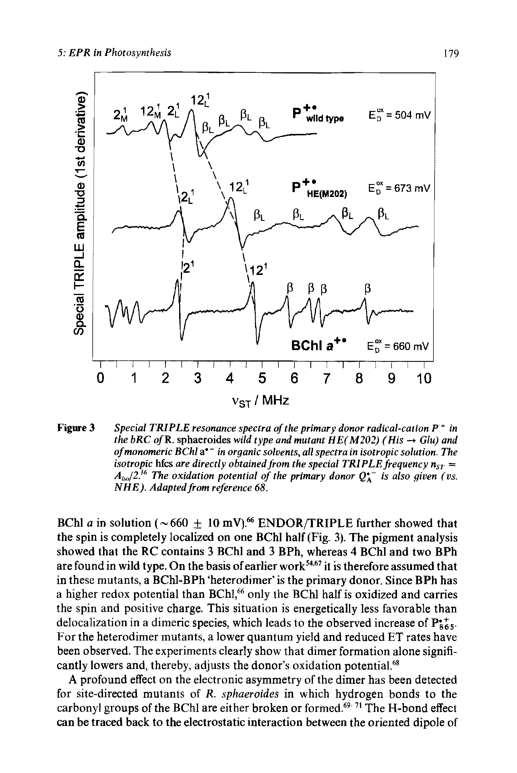 Figure 3 Special TRIPLE resonance spectra of the primary donor radical-cation P in the bRC of R. sphaeroides wild type and mutant HE(M202) (His - Glu) and of monomeric BChl a " in organic solvents, all spectra in isotropic solution. The isotropic hfcs are directly obtained from the special TRIPLE frequency nSJ = Ais,J2.H The oxidation potential of the primary donor is also given (vs. NHE). Adapted from reference 68.