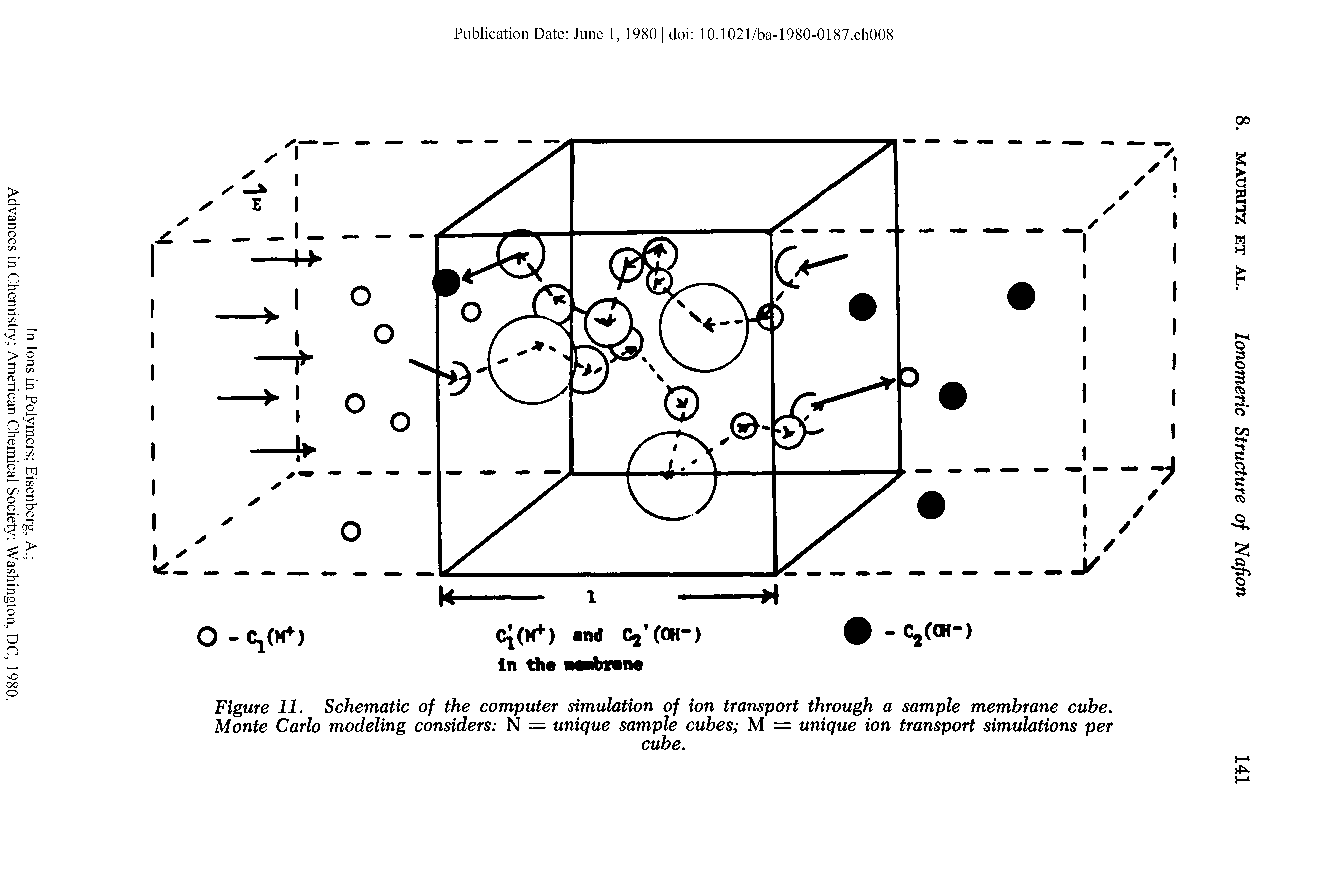 Figure 11. Schematic of the computer simulation of ion transport through a sample membrane cube. Monte Carlo modeling considers N = unique sample cubes M = unique ion transport simulations per...