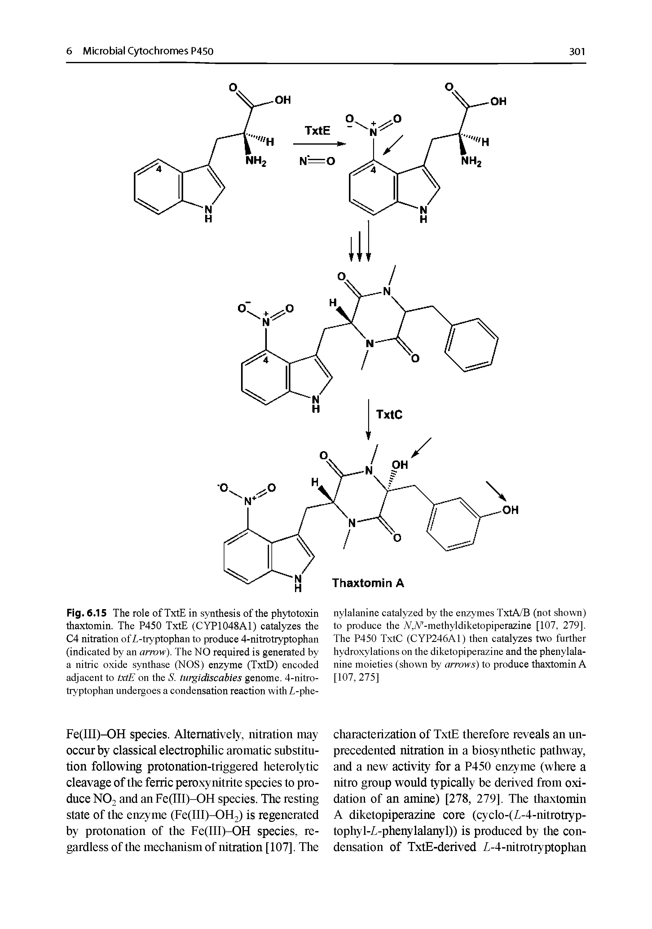 Fig. 6.15 The role of TxtE in synthesis of the phytotoxin thaxtomin. The P450 TxtE (CYP1048A1) catalyzes the C4 nitration ofl-tryptophan to produce 4-nitrotryptophan (indicated by an arrow). The NO required is generated by a nitric oxide synthase (NOS) enzyme (TxtD) encoded adjacent to txtE on the S. turgidiscabies genome. 4-nitro-tryptophan undergoes a condensation reaction withi-phe-...
