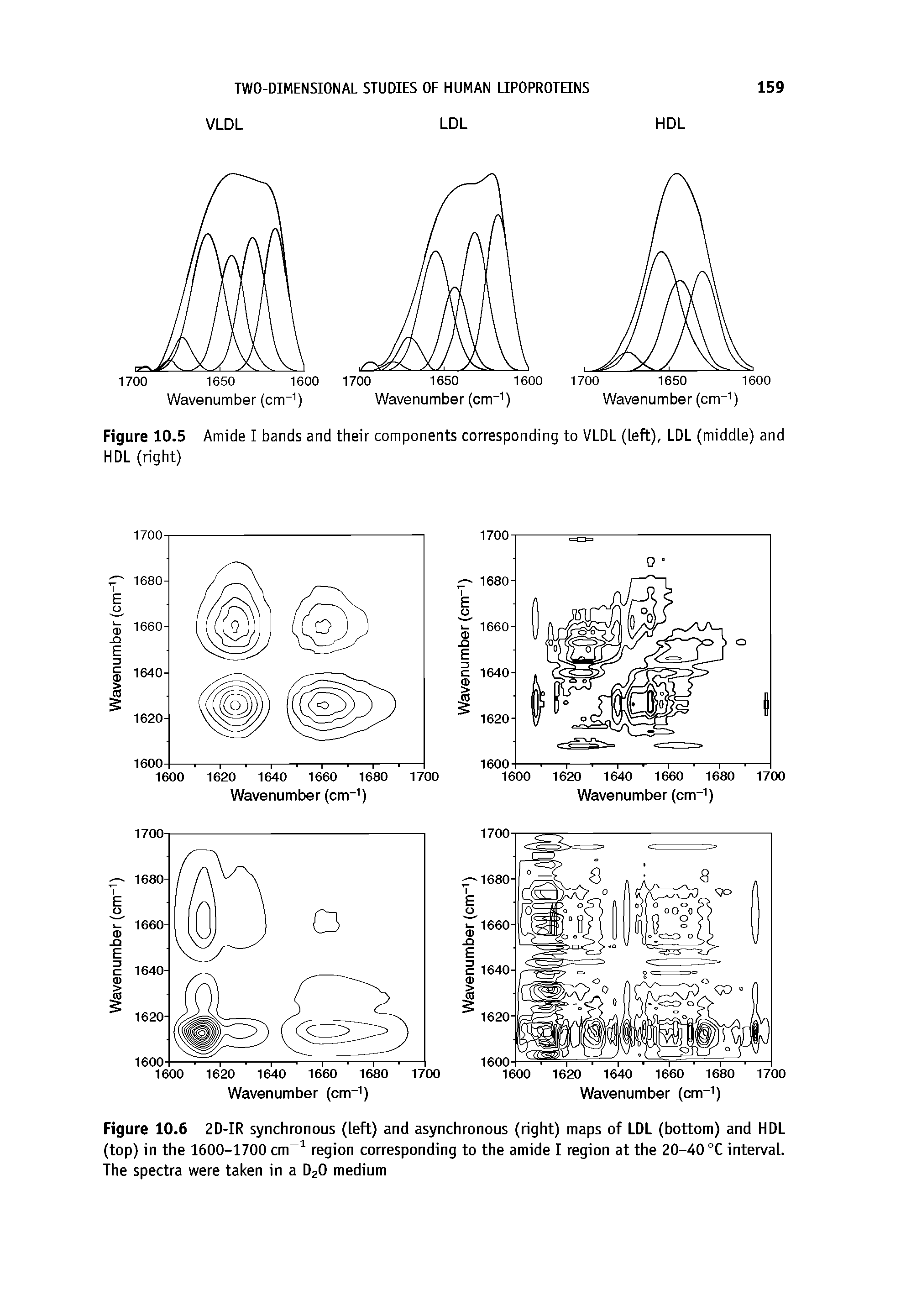Figure 10.6 2D-IR synchronous (left) and asynchronous (right) maps of LDL (bottom) and HDL (top) in the 1600-1700 cm region corresponding to the amide I region at the 20-40 °C interval. The spectra were taken in a D2O medium...