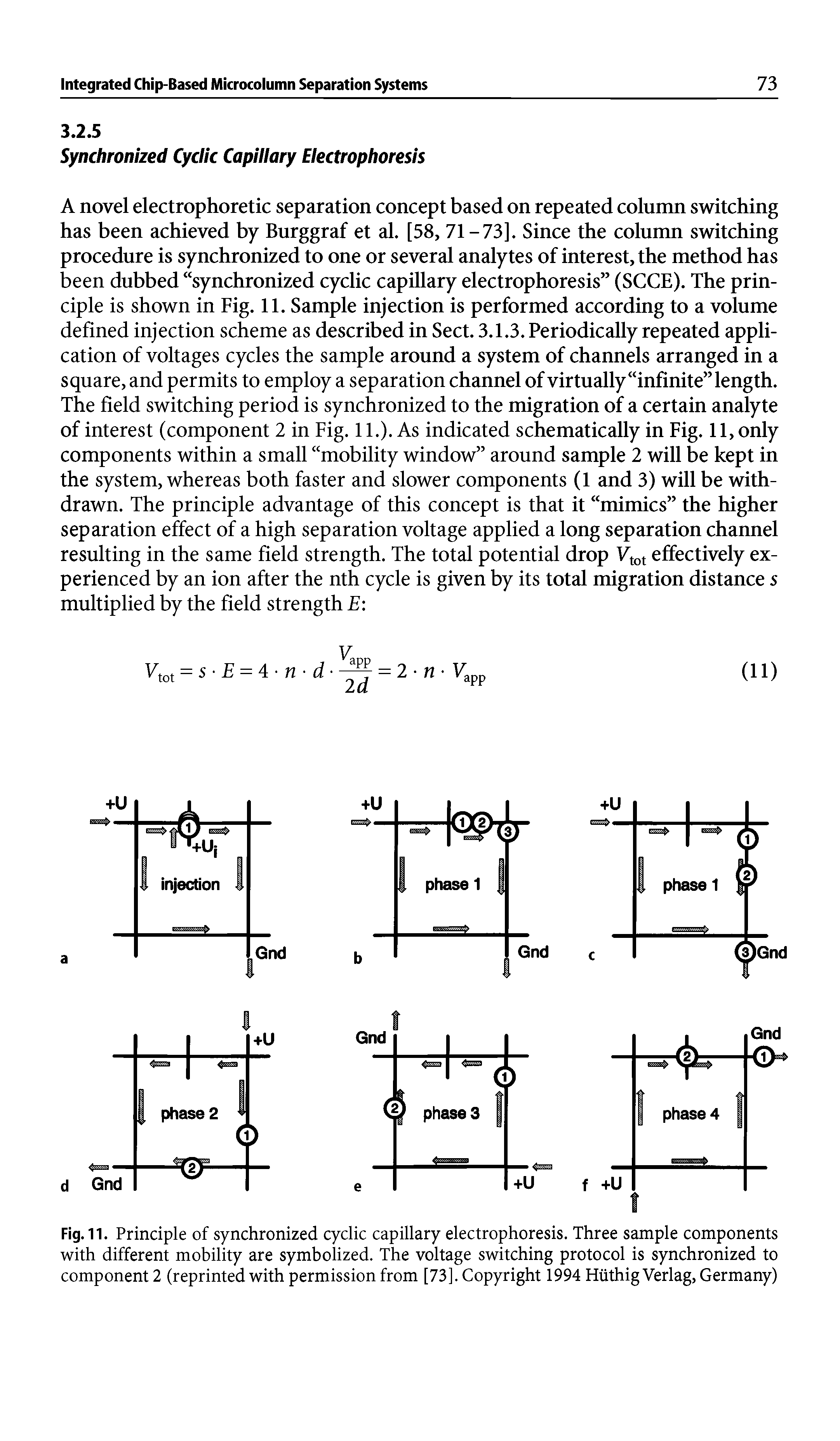 Fig. 11. Principle of synchronized cyclic capillary electrophoresis. Three sample components with different mobility are symbolized. The voltage switching protocol is synchronized to component 2 (reprinted with permission from [73]. Copyright 1994 Hiithig Verlag, Germany)...