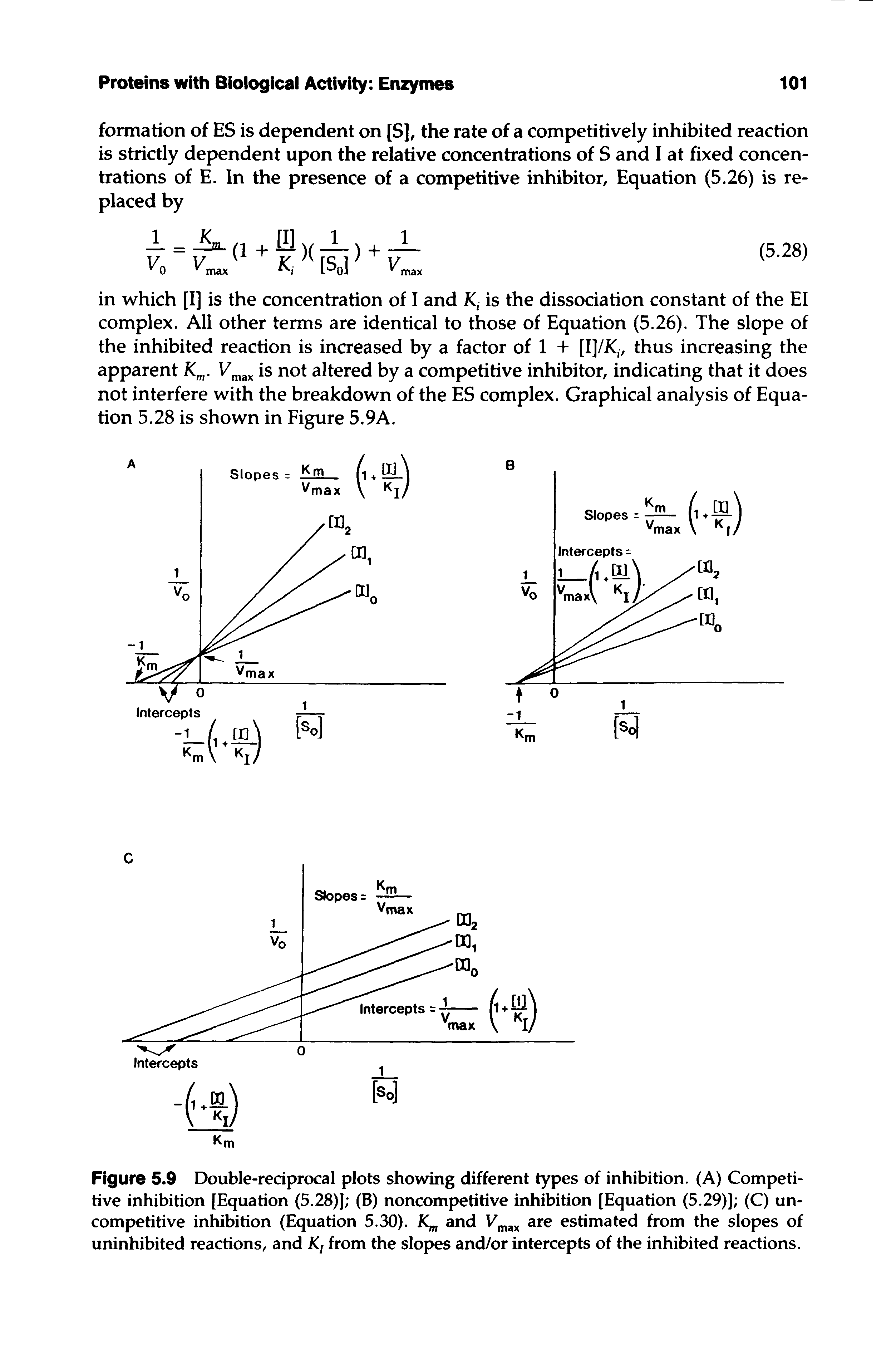 Figure 5.9 Double-reciprocal plots showing different types of inhibition. (A) Competitive inhibition [Equation (5.28)J (B) noncompetitive inhibition [Equation (5.29)] (C) uncompetitive inhibition (Equation 5.30). Km and Vmax are estimated from the slopes of uninhibited reactions, and K, from the slopes and/or intercepts of the inhibited reactions.