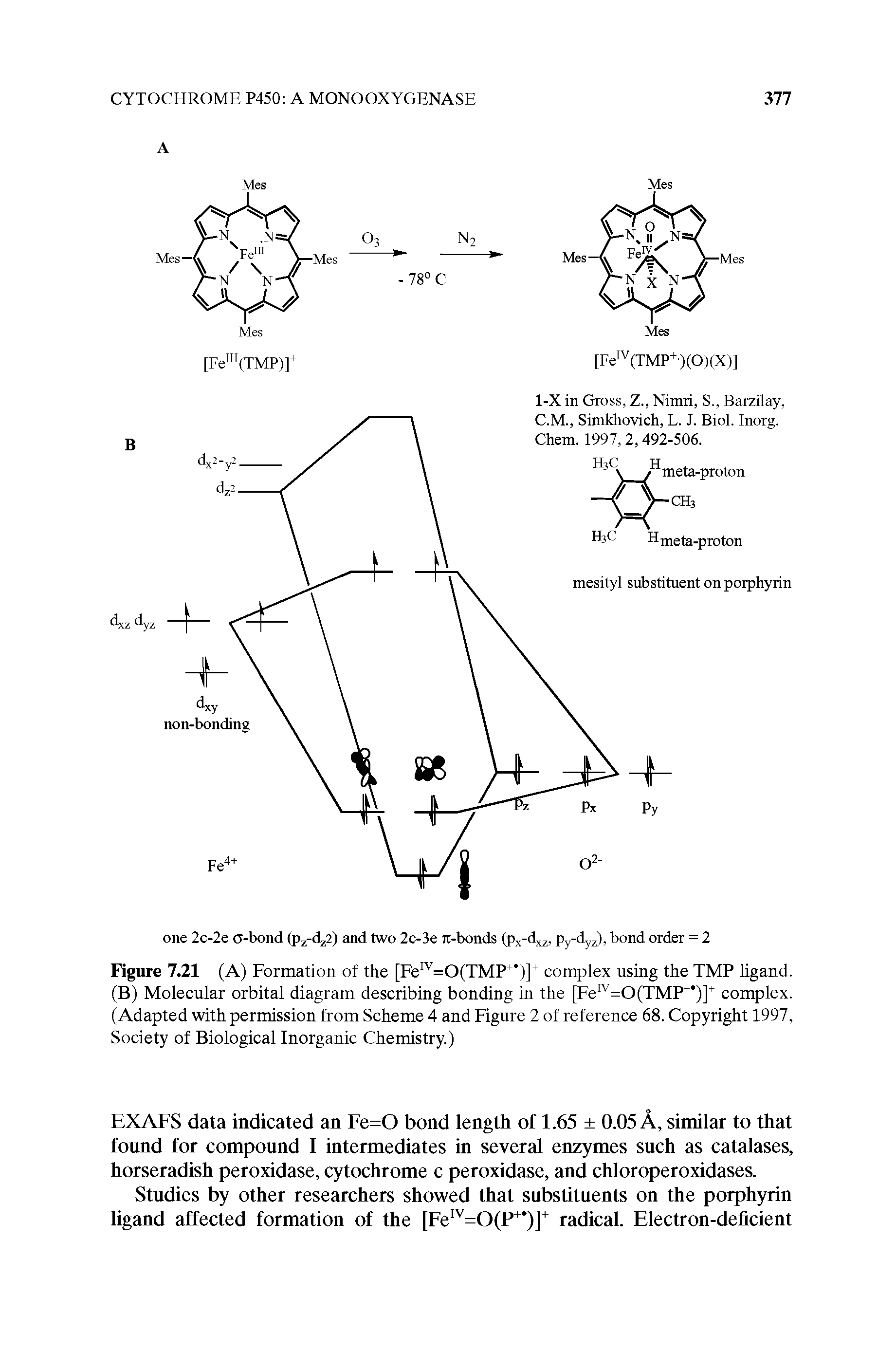 Figure 7.21 (A) Formation of the [Fe" =0(TMP ")] complex using the TMP ligand. (B) Molecular orbital diagram describing bonding in the [Fe" =0(TMP )] complex. (Adapted with permission from Scheme 4 and Figure 2 of reference 68. Copyright 1997, Society of Biological Inorganic Chemistry.)...