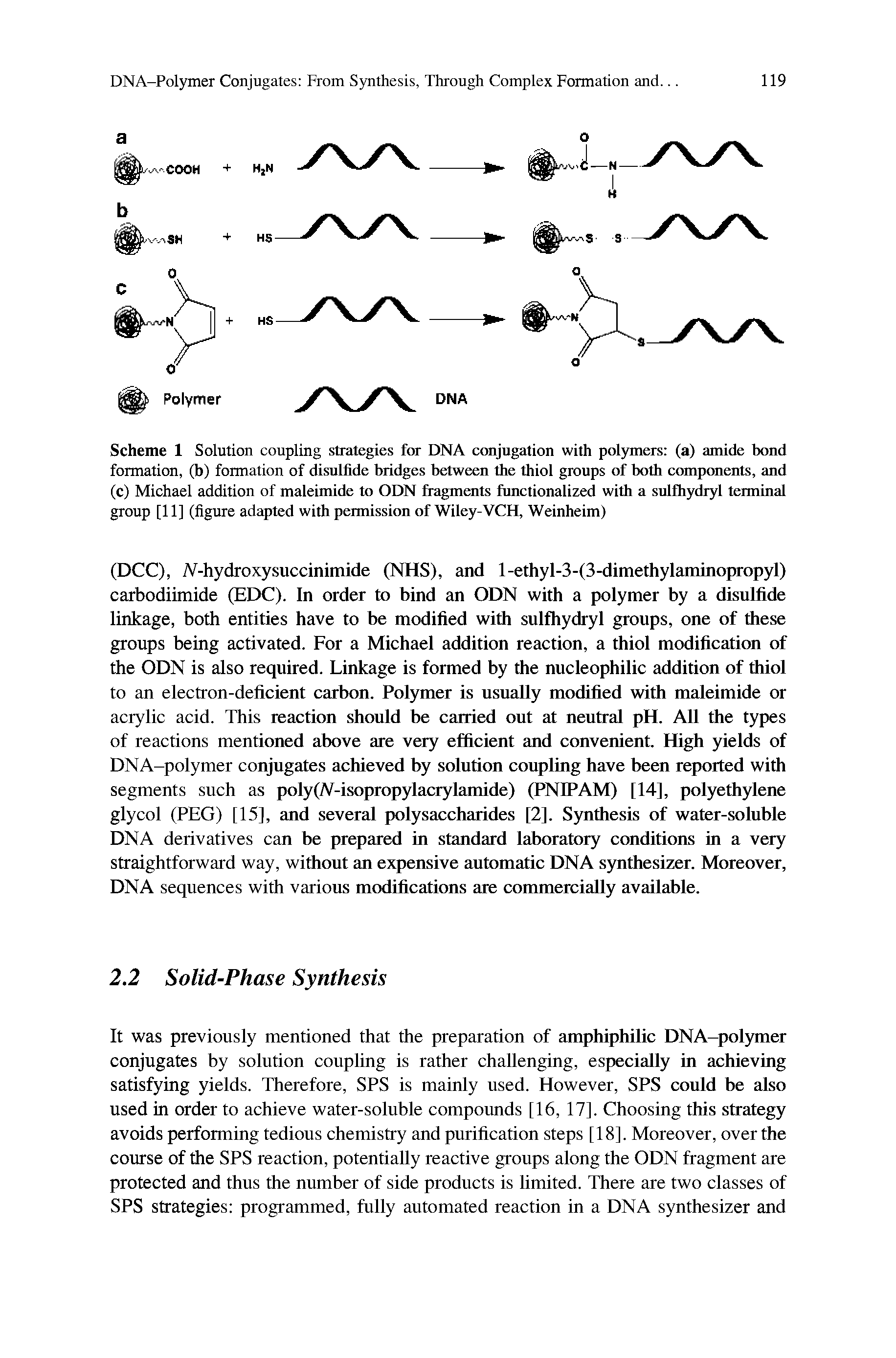 Scheme 1 Solution coupling strategies for DNA conjugation with polymers (a) amide bond formation, (b) formation of disulfide bridges between the thiol groups of both eranponents, and (c) Michael addition of maleimide to ODN fragments functionalized with a snlfhydryl terminal group [11] (figure adapted with permission of Wiley-VCH, Weinheim)...