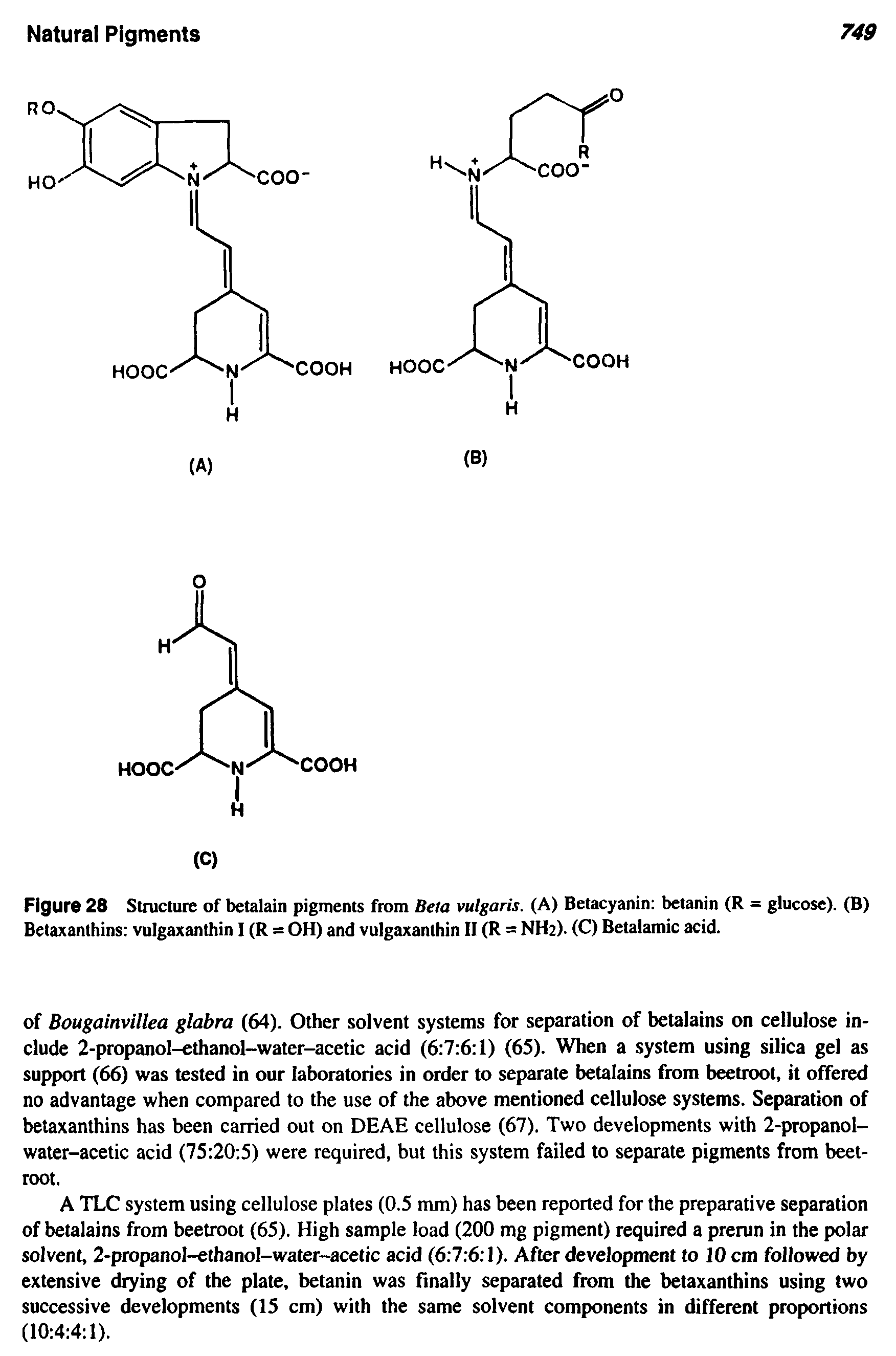 Figure 28 Structure of betalain pigments from Beta vulgaris. (A) Betacyanin betanin (R = glucose). (B) Betaxanthins vulgaxanthin I (R = OH) and vulgaxanthin II (R = NH2)- (C) Betalamic acid.