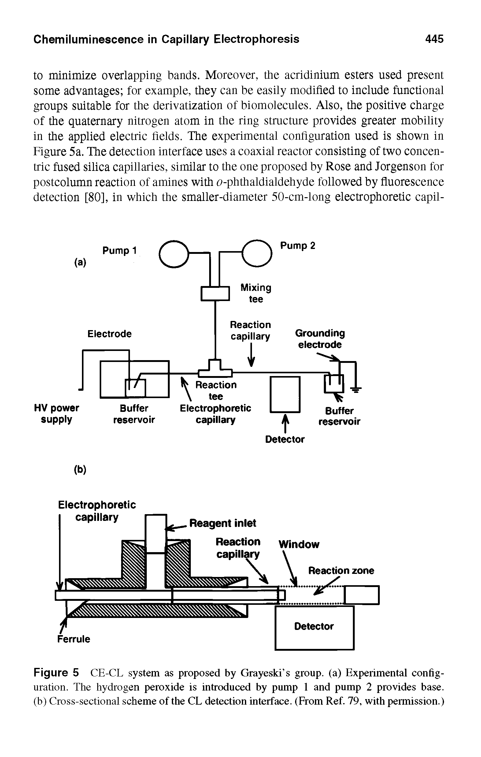 Figure 5 CE-CL system as proposed by Grayeski s group, (a) Experimental configuration. The hydrogen peroxide is introduced by pump 1 and pump 2 provides base, (b) Cross-sectional scheme of the CL detection interface. (From Ref. 79, with permission.)...