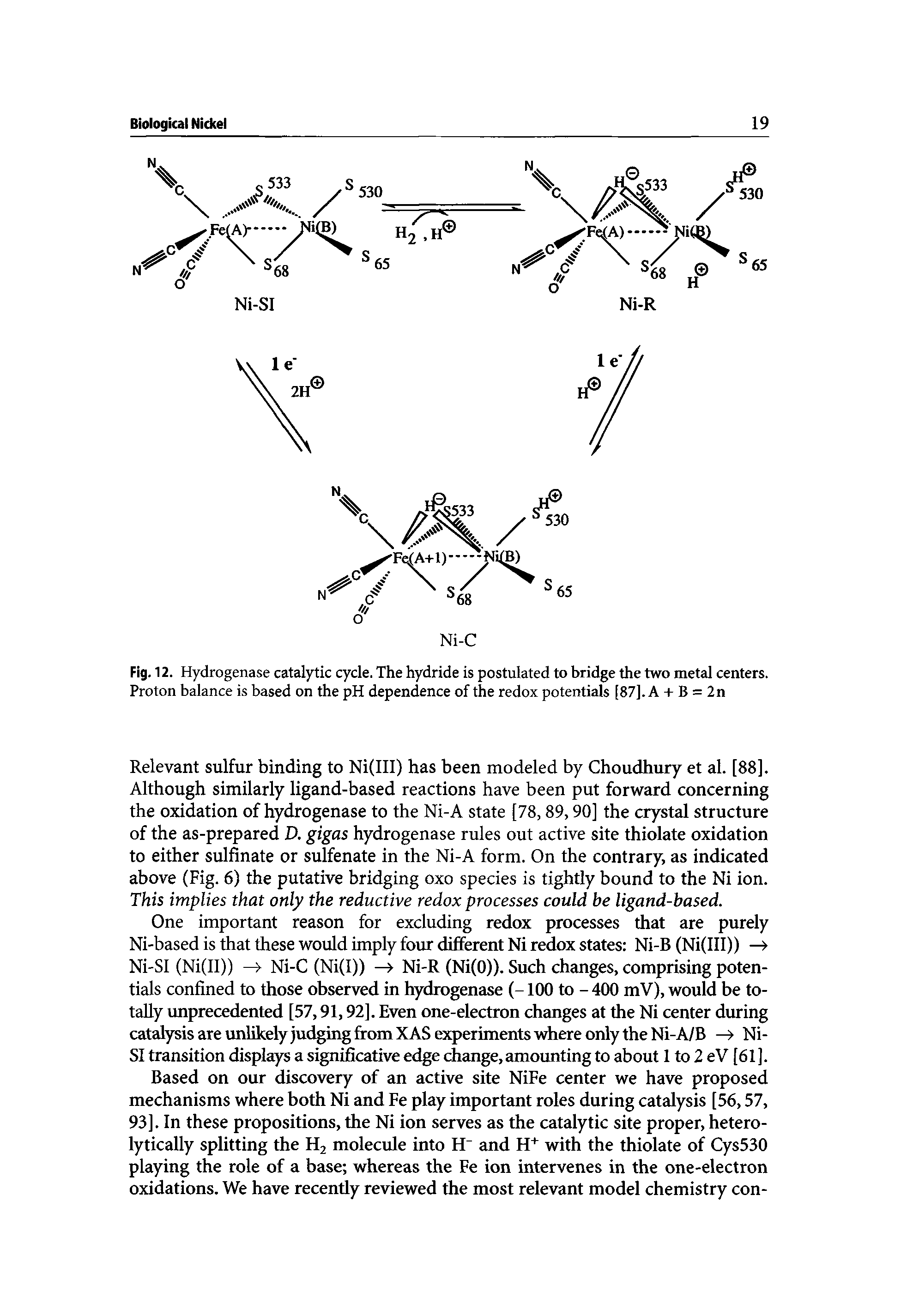 Fig. 12. Hydrogenase catalytic cycle. The hydride is postulated to bridge the two metal centers. Proton balance is based on the pH dependence of the redox potentials [87]. A + B = 2n...