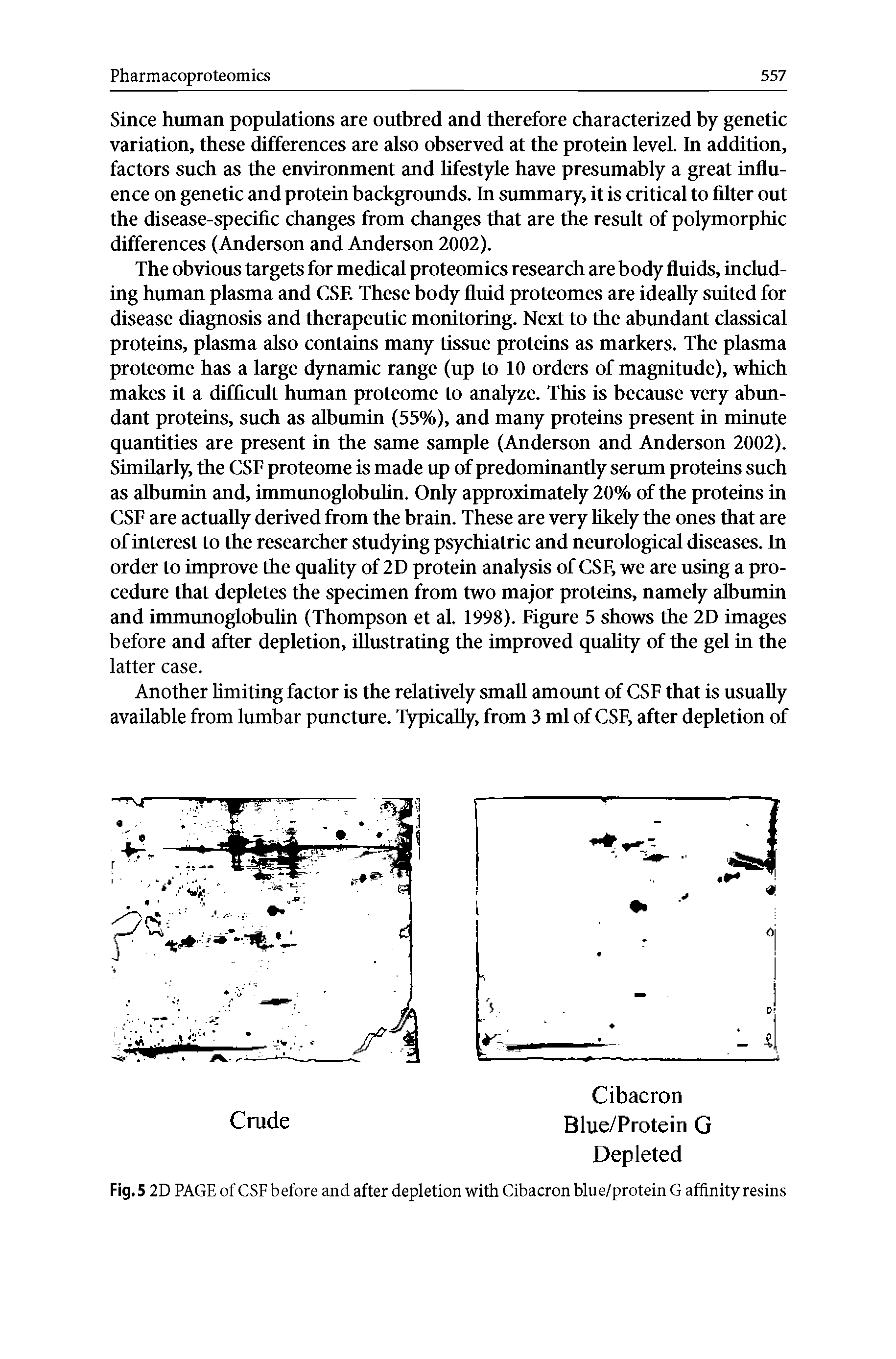 Fig. 5 2D PAGE of CSF before and after depletion with Cibacron blue/protein G affinity resins...