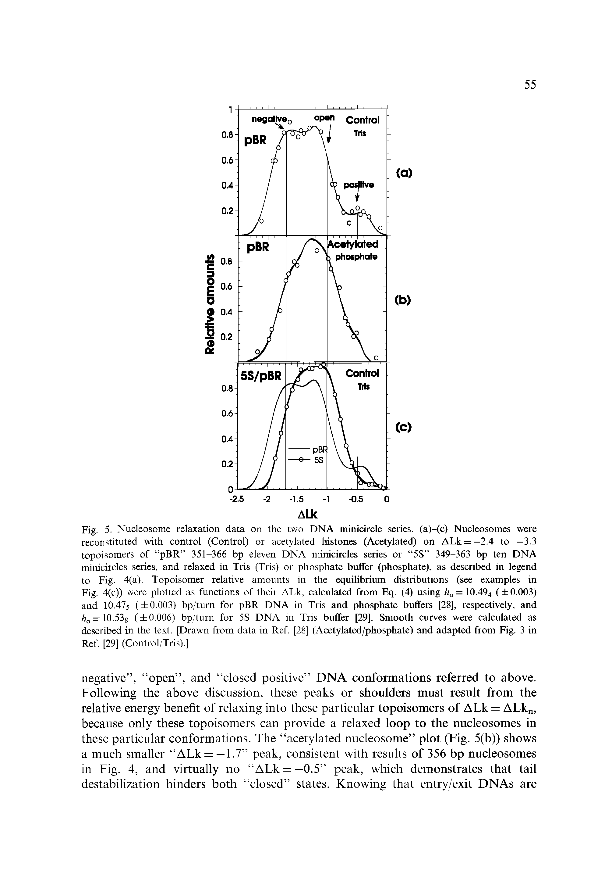 Fig. 5, Nucleosome relaxation data on the two DNA minicircle series, (a)-(c) Nucleosomes were reconstituted with control (Control) or acetylated histones (Acetylated) on ALk = —2.4 to —3.3 topoisomers of pBR 351-366 bp eleven DNA minicircles series or 5S 349-363 bp ten DNA minicircles series, and relaxed in Tris (Tris) or phosphate buffer (phosphate), as described in legend to Fig. 4(a). Topoisomer relative amounts in the equilibrium distributions (see examples in Fig. 4(c)) were plotted as functions of their ALk, calculated from Eq. (4) using h = QA94 ( 0.003) and 10.47s ( 0.003) bp/turn for pBR DNA in Tris and phosphate buffers [28], respectively, and 0 = 10.538 ( 0.006) bp/turn for 5S DNA in Tris buffer [29]. Smooth curves were calculated as described in the text. [Drawn from data in Ref [28] (Acetylated/phosphate) and adapted from Fig. 3 in Ref [29] (Control/Tris).]...