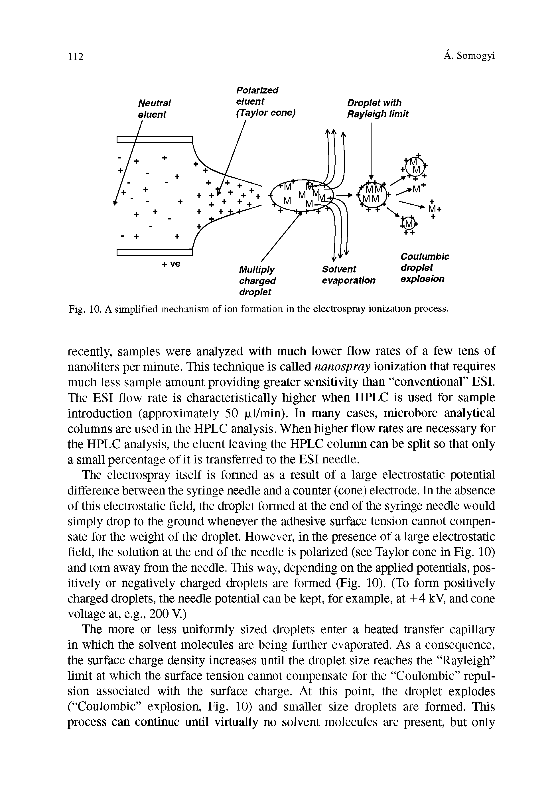 Fig. 10. A simplified mechanism of ion formation in the electrospray ionization process.