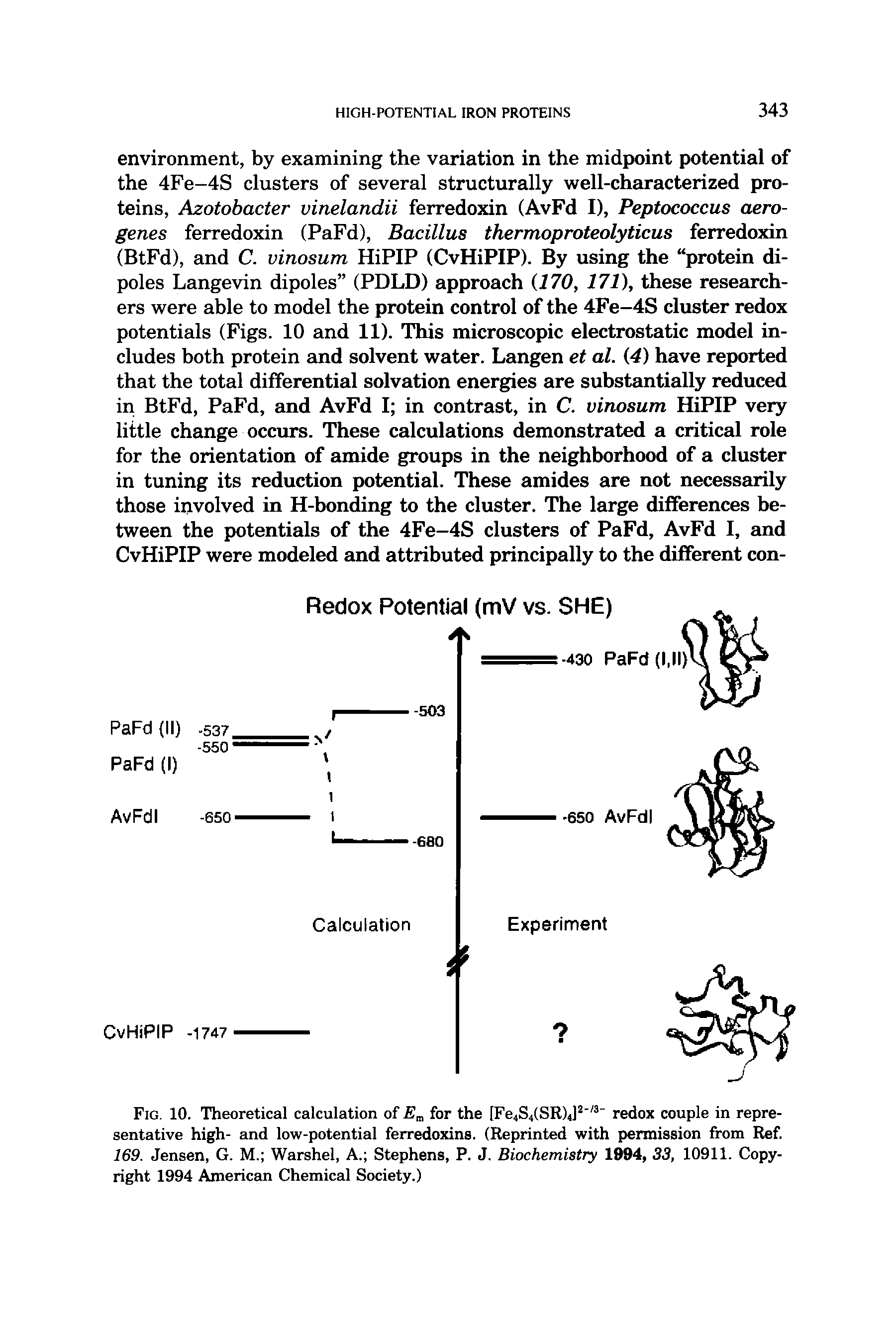 Fig. 10. Theoretical calculation of for the [Fe4S4(SR)4] redox couple in representative high- and low-potential ferredoxins. (Reprinted with permission from Ref. 169. Jensen, G. M. Warshel, A. Stephens, P. J. Biochemistry 1994, 33, 10911. Copyright 1994 American Chemical Society.)...