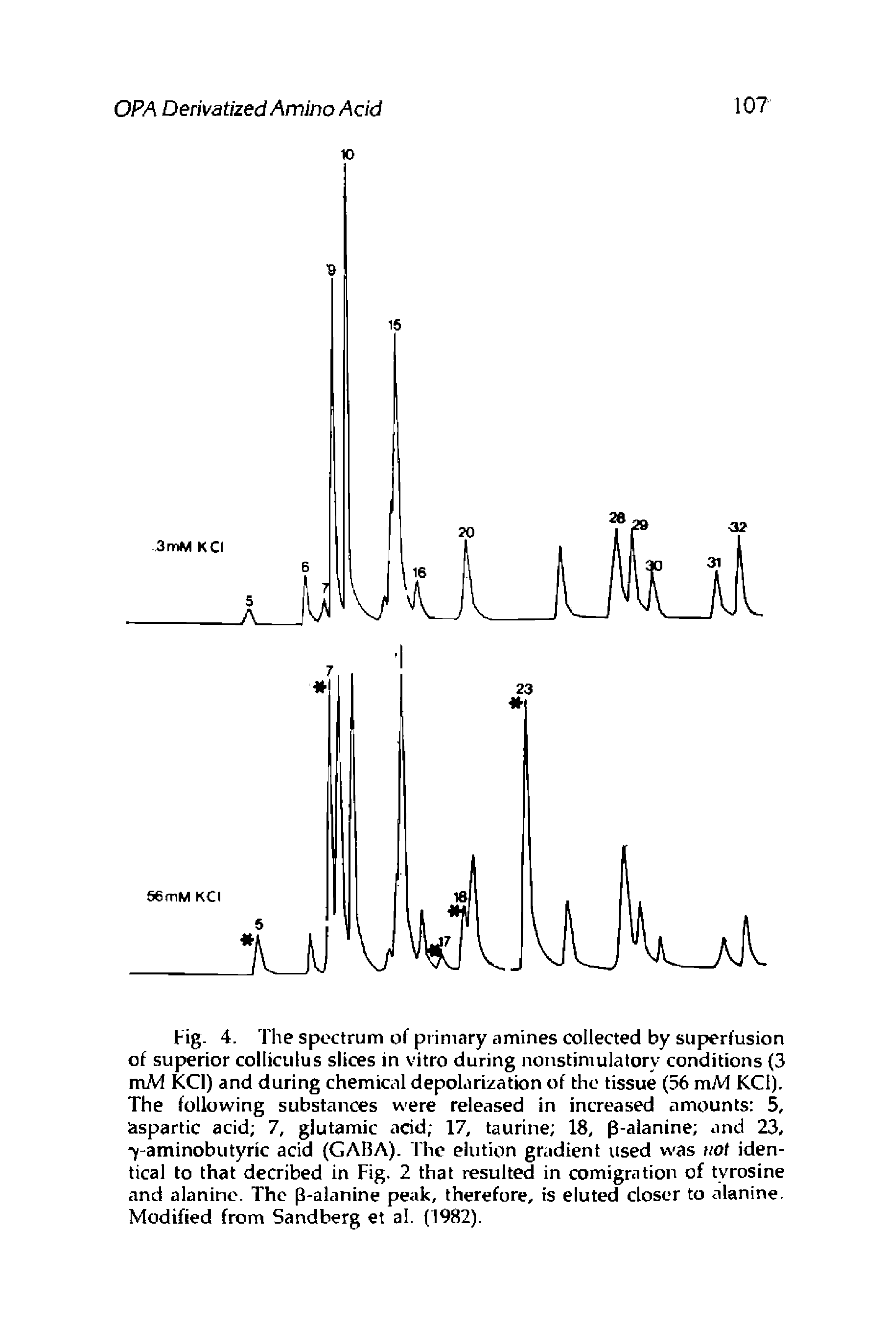 Fig. 4. The spectrum of primary amines collected by superfusion of superior colliculus slices in vitro during nonstimulatory conditions (3 mM KCI) and during chemical depolarization of the tissue (56 mM KCI). The following substances were released in increased amounts 5, aspartic acid 7, glutamic acid 17, taurine 18, p-alanine and 23, y-aminobutyric acid (GABA). The elution gradient used was not identical to that decribed in Fig. 2 that resulted in comigration of tyrosine and alanine. The p-alanine peak, therefore, is eluted closer to alanine. Modified from Sandberg et al. (1982).