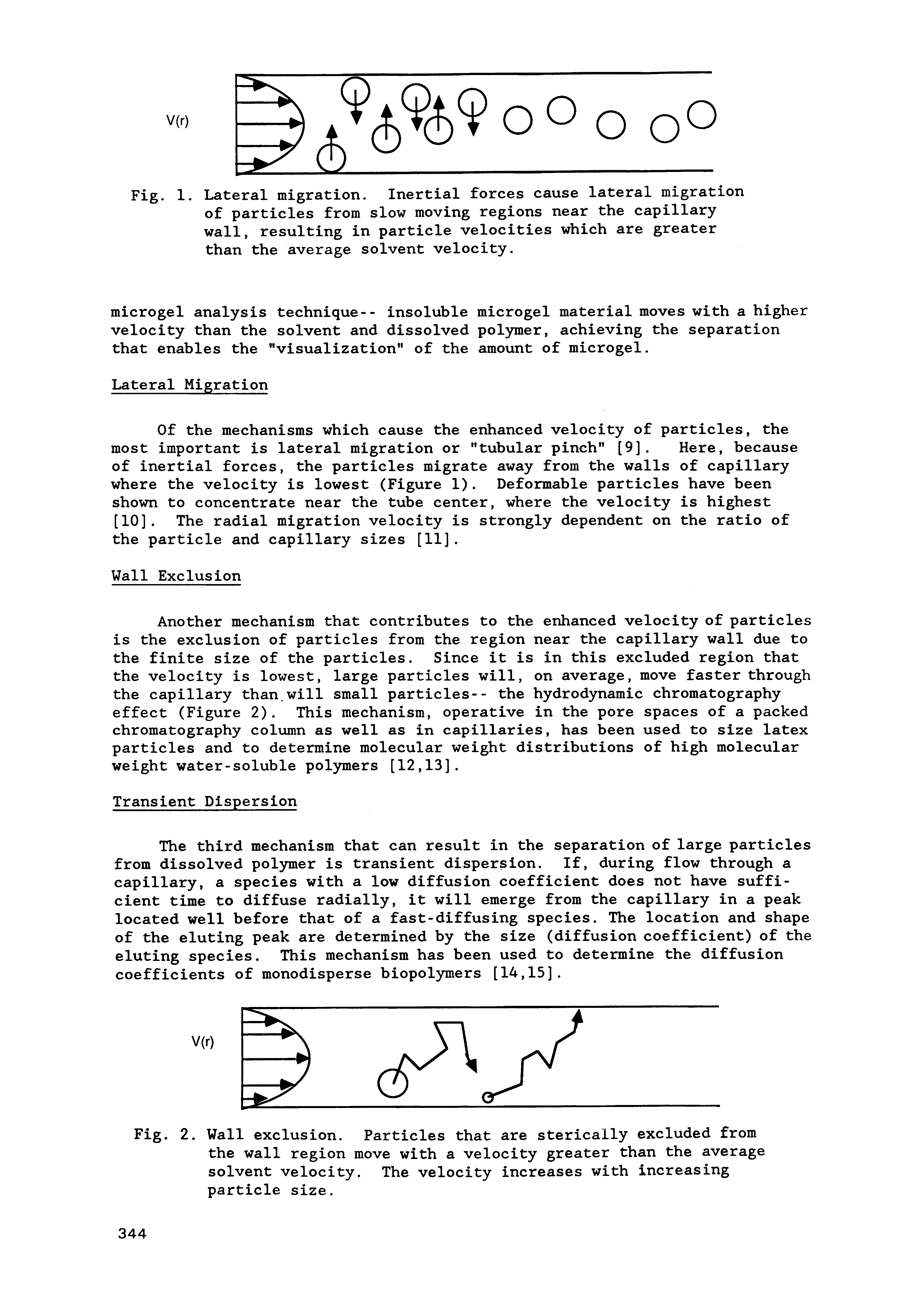 Fig. 1. Lateral migration. Inertial forces cause lateral migration of particles from slow moving regions near the capillary wall, resulting in particle velocities which are greater than the average solvent velocity.