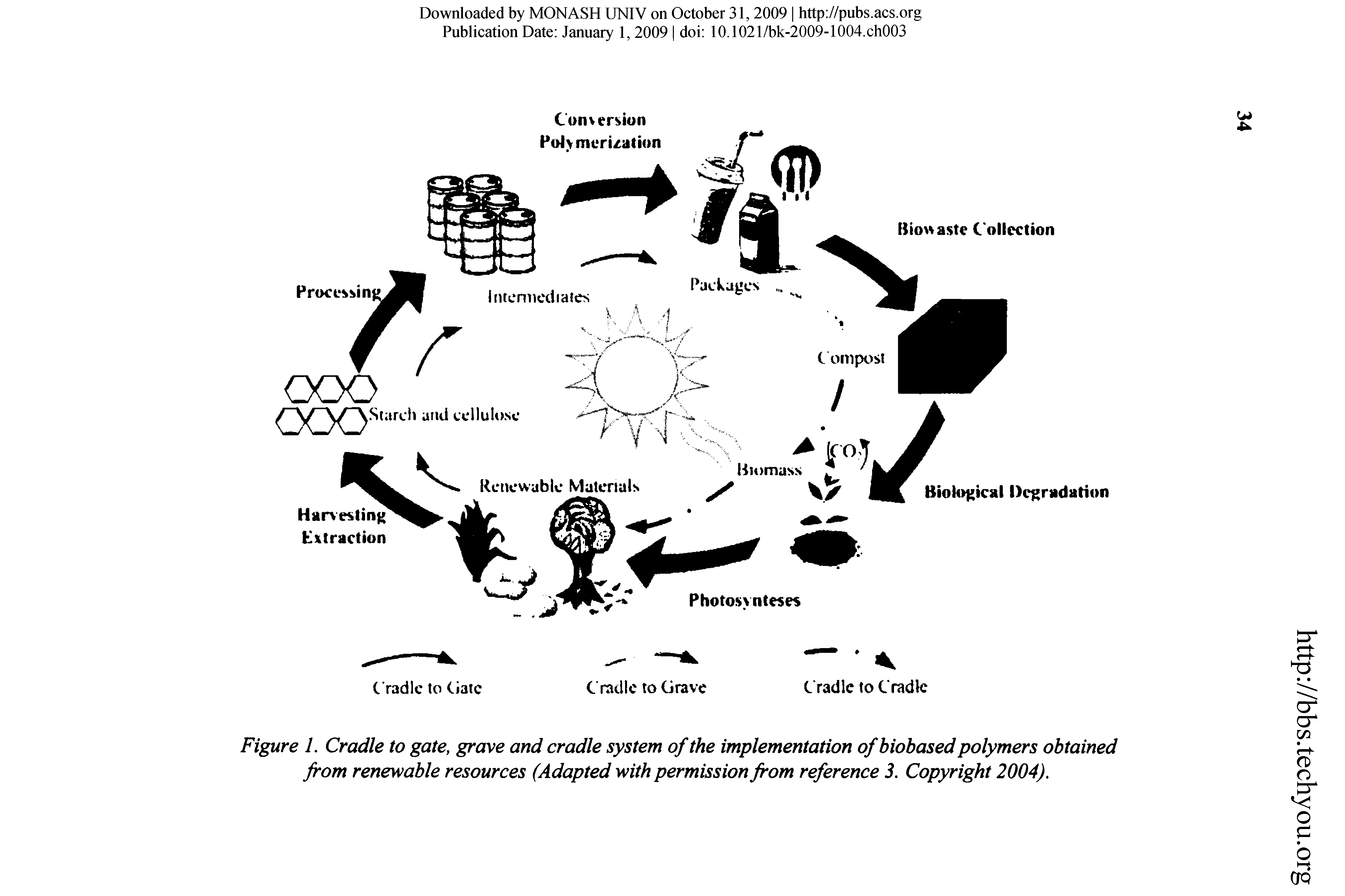 Figure 1. Cradle to gate, grave and cradle system of the implementation of biobased polymers obtained from renewable resources (Adapted with permission from reference 3. Copyright 2004).