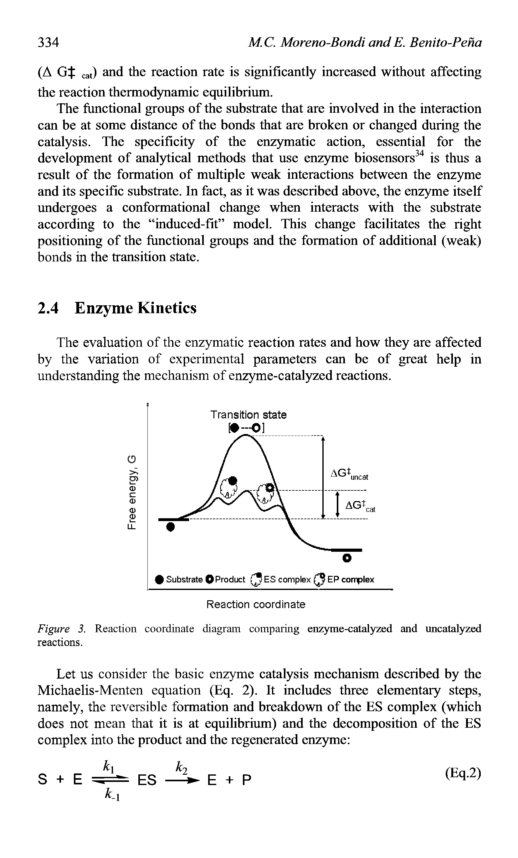 Figure 3. Reaction coordinate diagram comparing enzyme-catalyzed and uncatalyzed reactions.