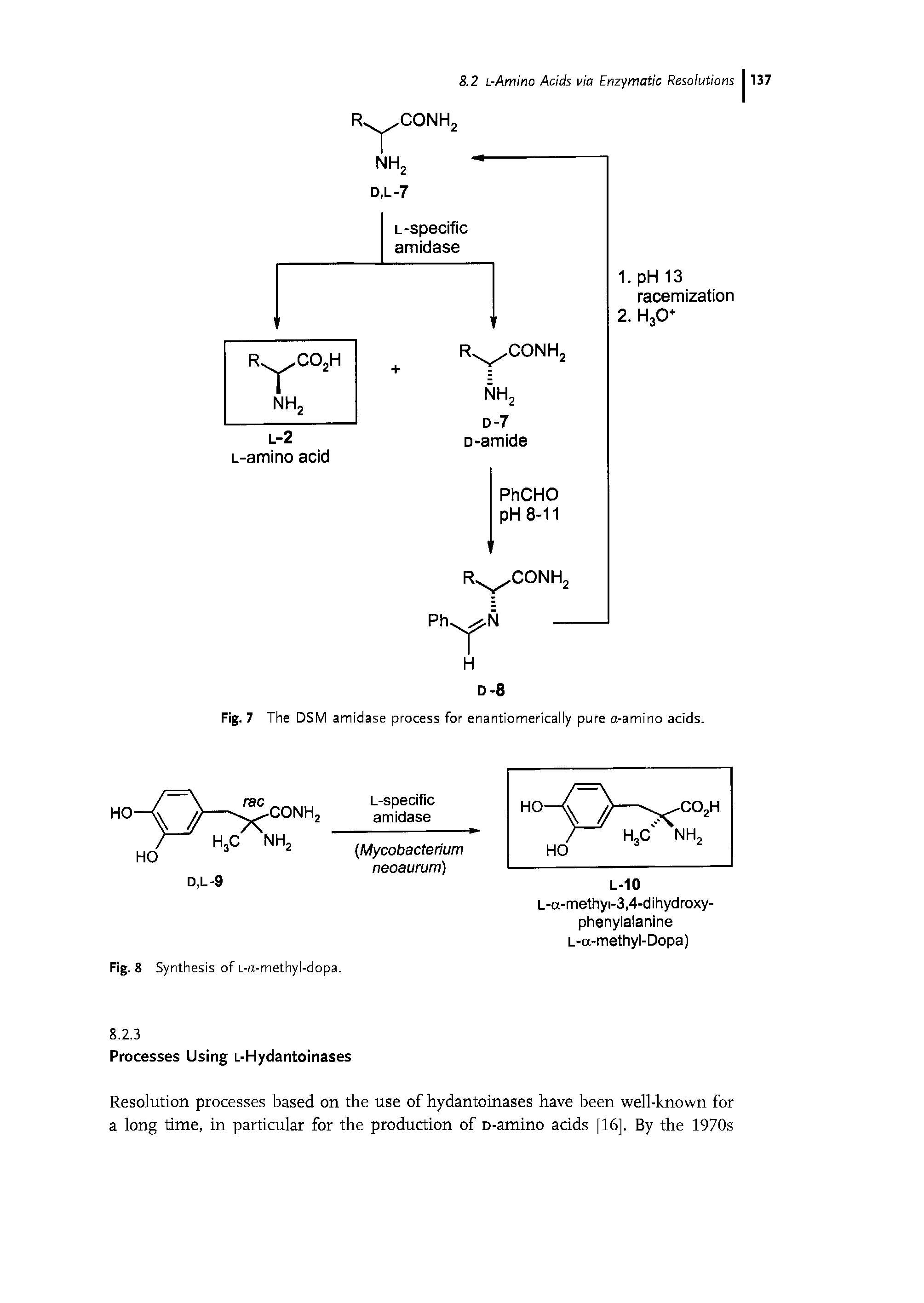 Fig. 7 The DSM amidase process for enantiomerically pure a-amino acids.