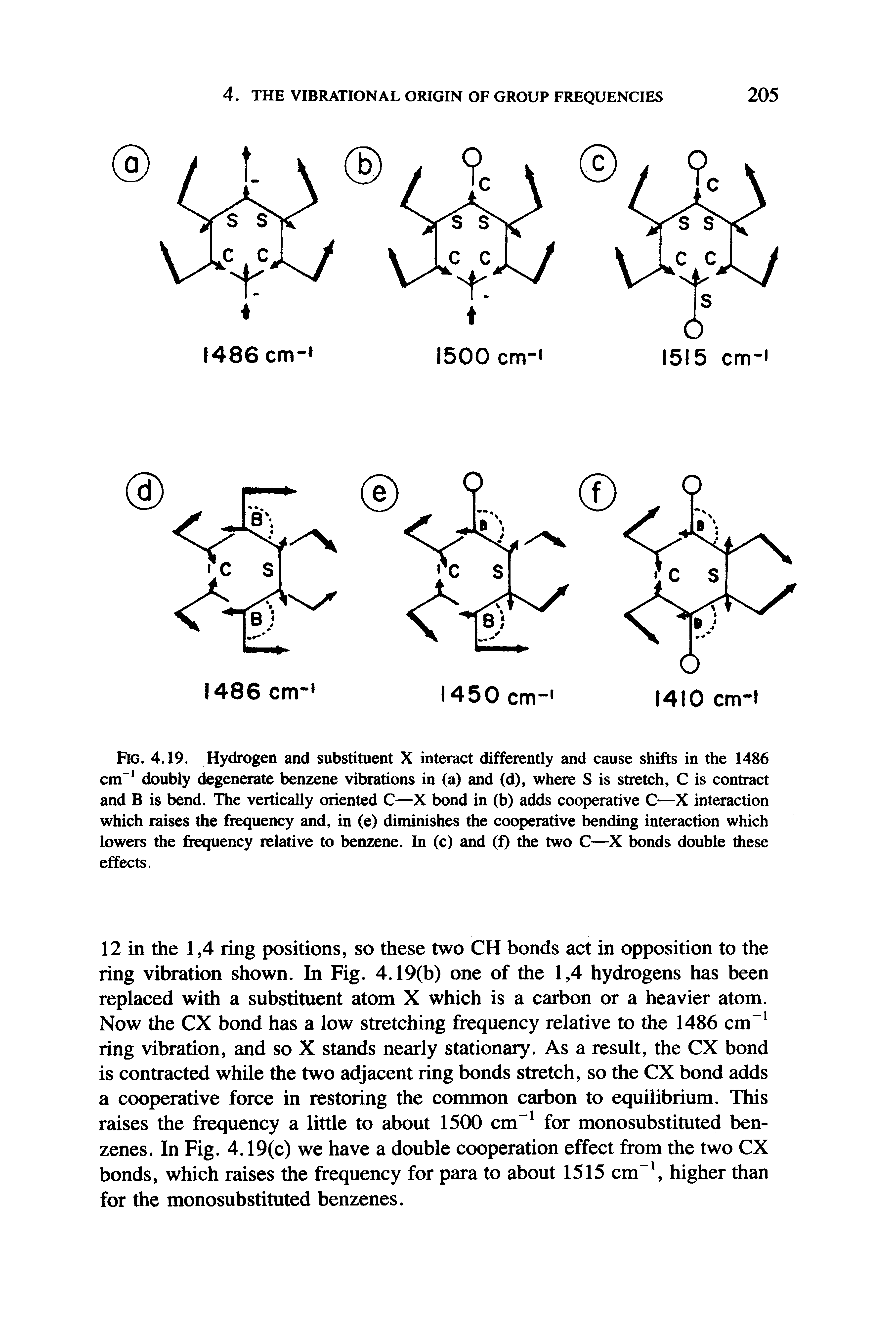 Fig. 4.19. Hydrogen and substituent X interact differently and cause shifts in the 1486 cm doubly degenerate benzene vibrations in (a) and (d), where S is stretch, C is contract and B is bend. The vertically oriented C—X bond in (b) adds cooperative C—X interaction which raises the frequency and, in (e) diminishes the cooperative bending interaction which lowers the frequency relative to benzene. In (c) and (f) the two C—X bonds double these effects.